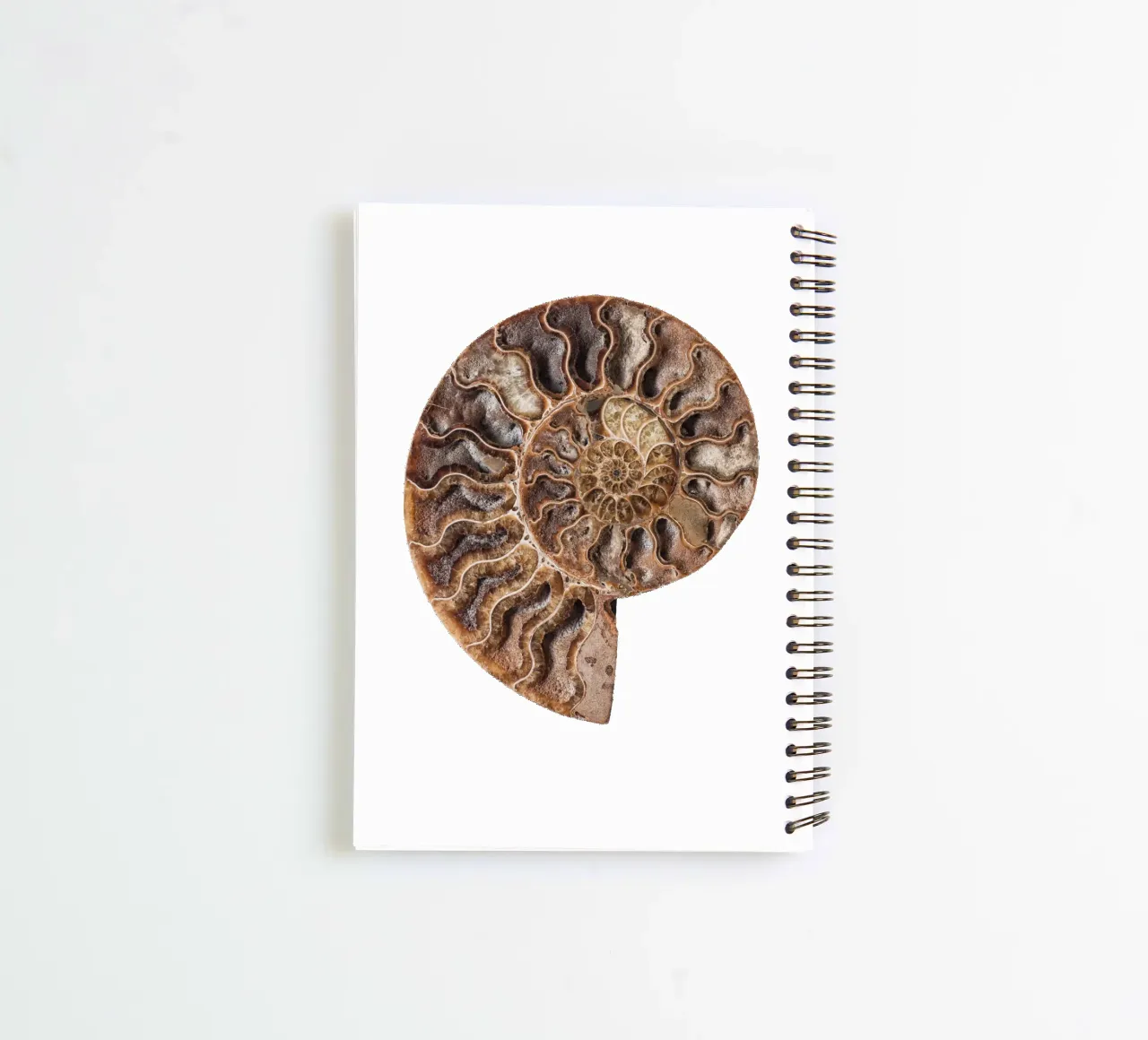 Shell fossil ammonite spiral notebook by Curious Collections by Marielle Leenders