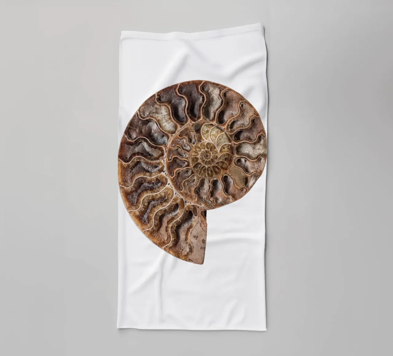Shell fossil ammonite towel by Curious Collections by Marielle Leenders