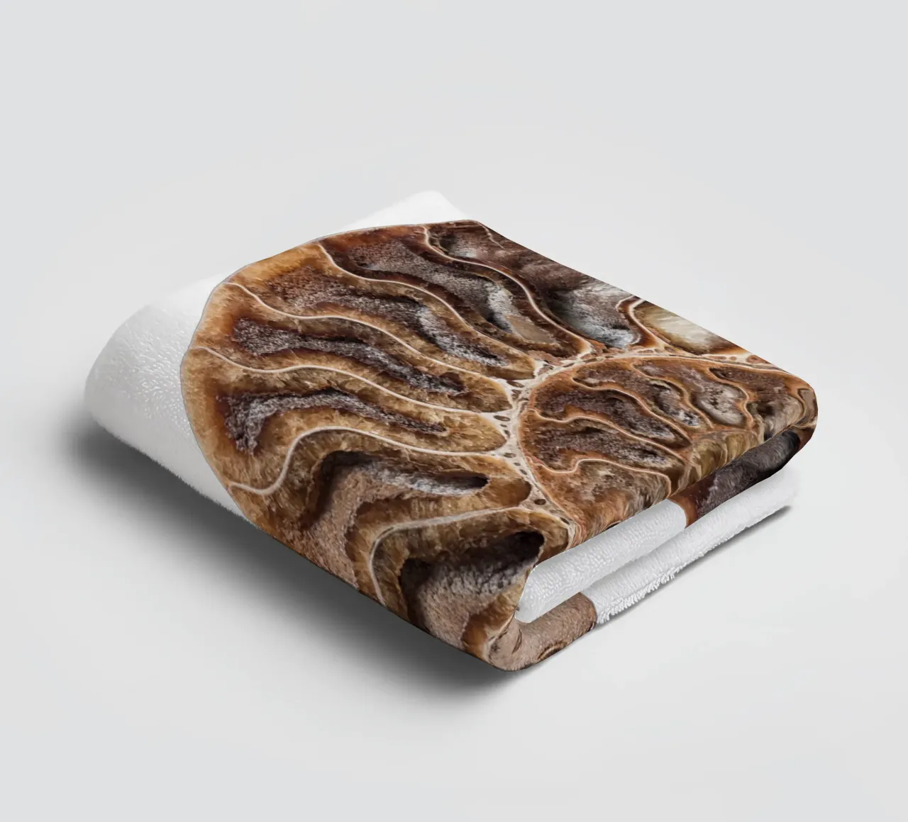 Shell fossil ammonite towel by Curious Collections by Marielle Leenders