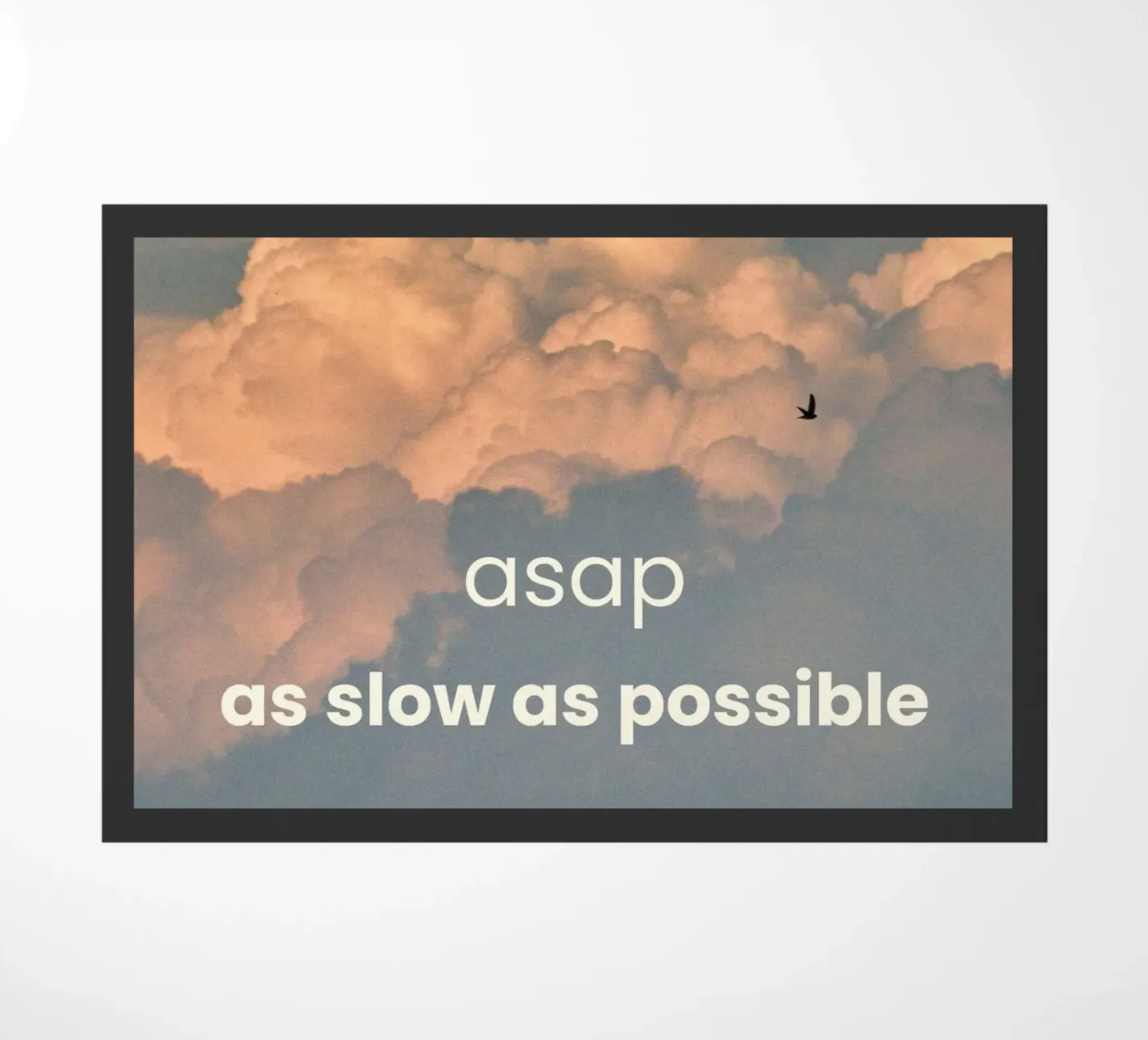 ASAP zerbino da Cancel Simplicity