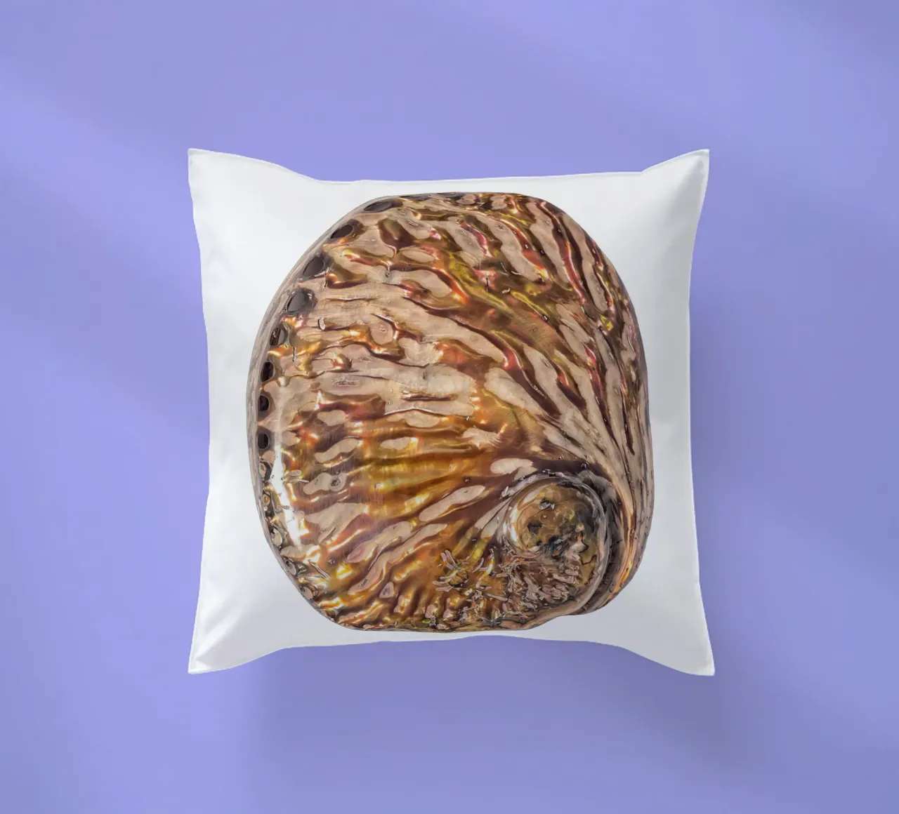 Conchiglia in madreperla cuscino da Curious Collections by Marielle Leenders
