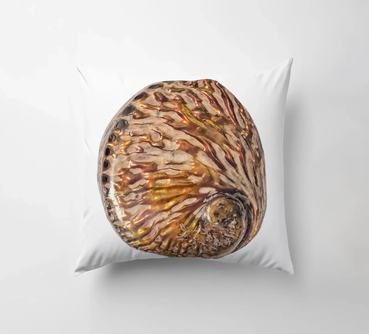Conchiglia in madreperla cuscino da Curious Collections by Marielle Leenders