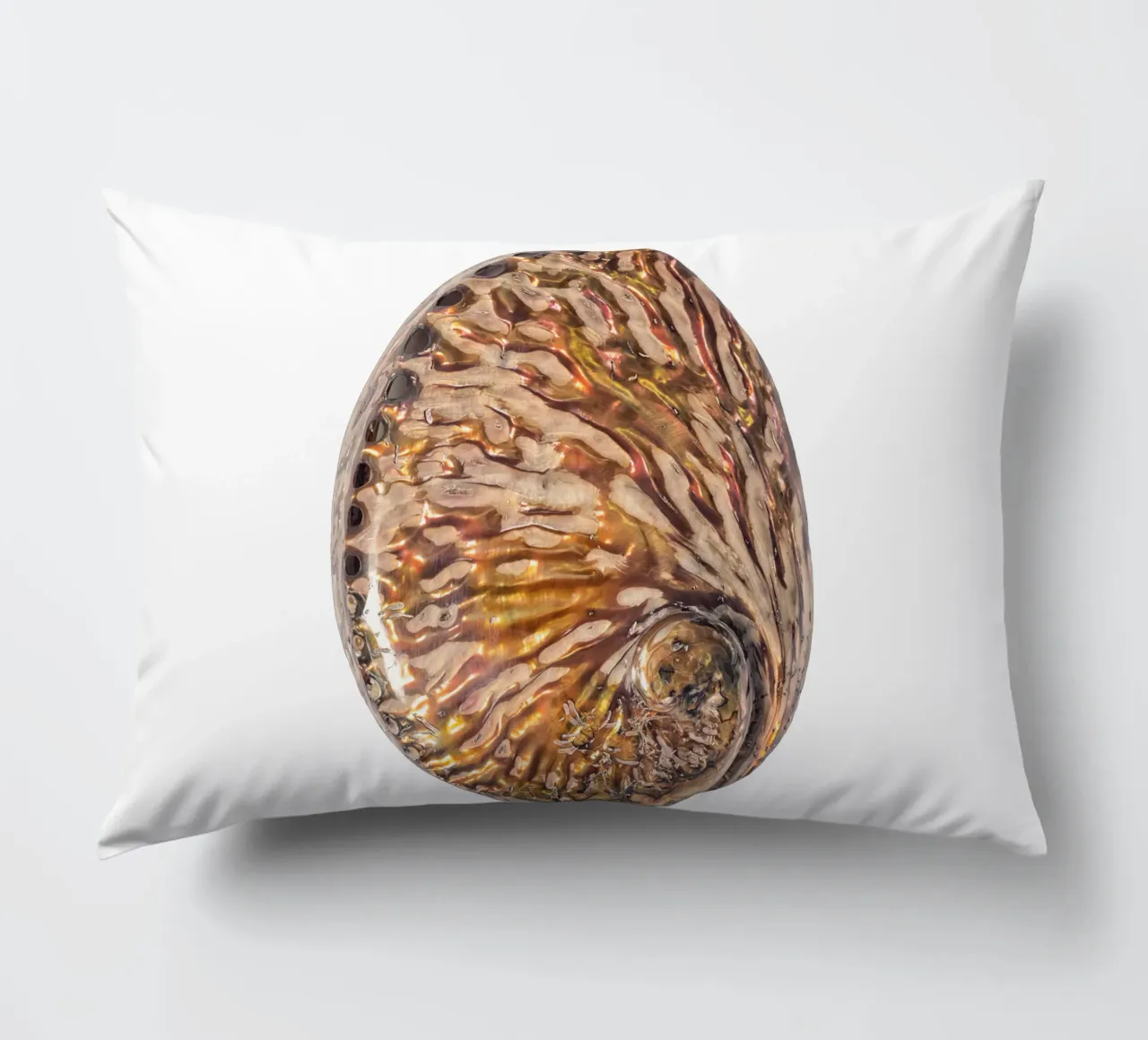 Conchiglia in madreperla cuscino da Curious Collections by Marielle Leenders