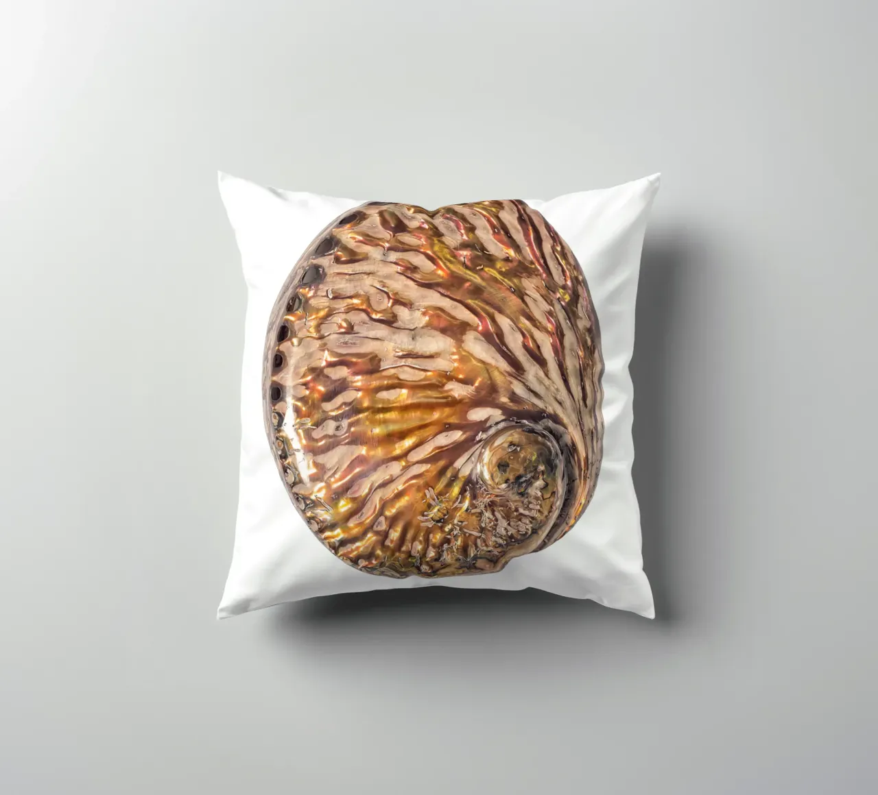 Conchiglia in madreperla cuscino da Curious Collections by Marielle Leenders