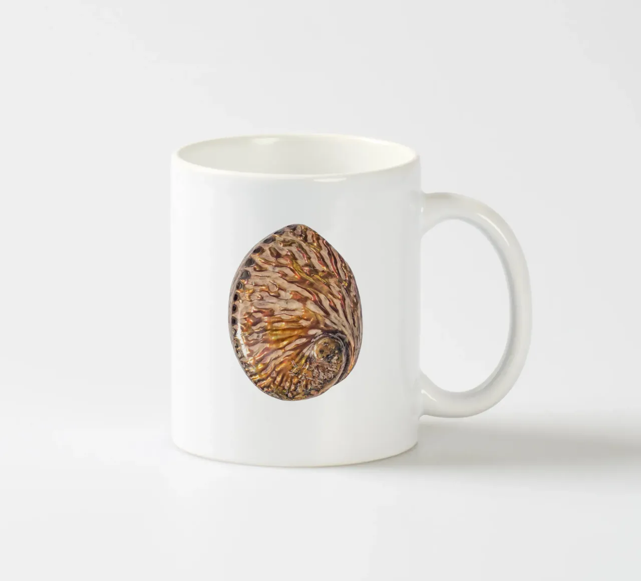 Conchiglia in madreperla tazza in ceramica da Curious Collections by Marielle Leenders
