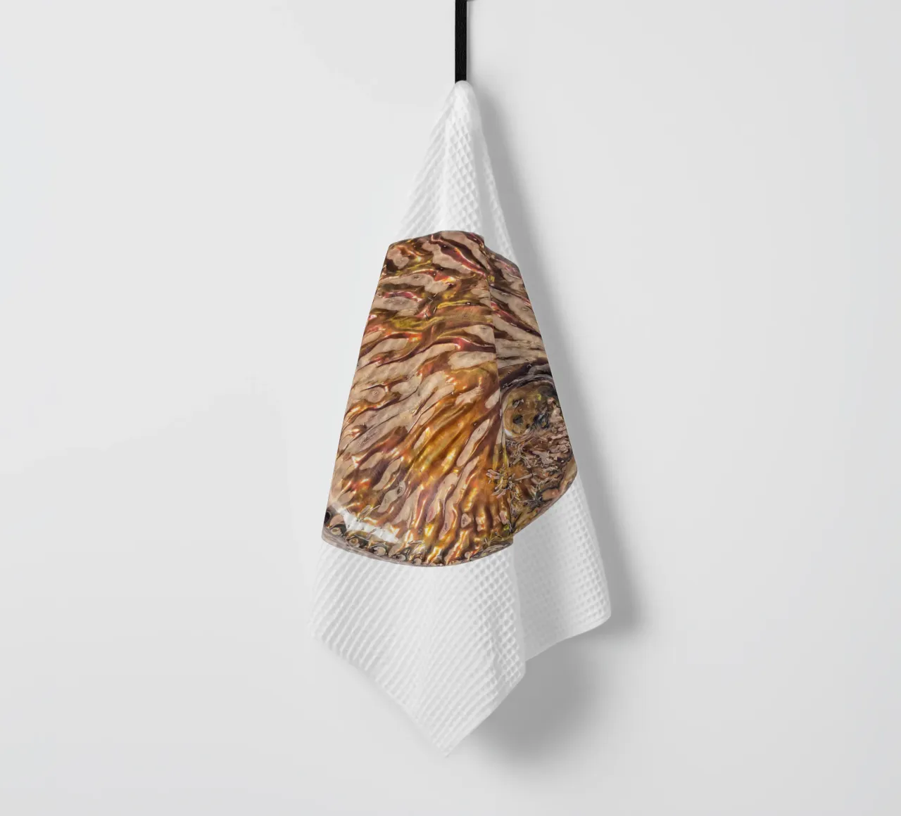 Conchiglia in madreperla canovaccio da cucina da Curious Collections by Marielle Leenders