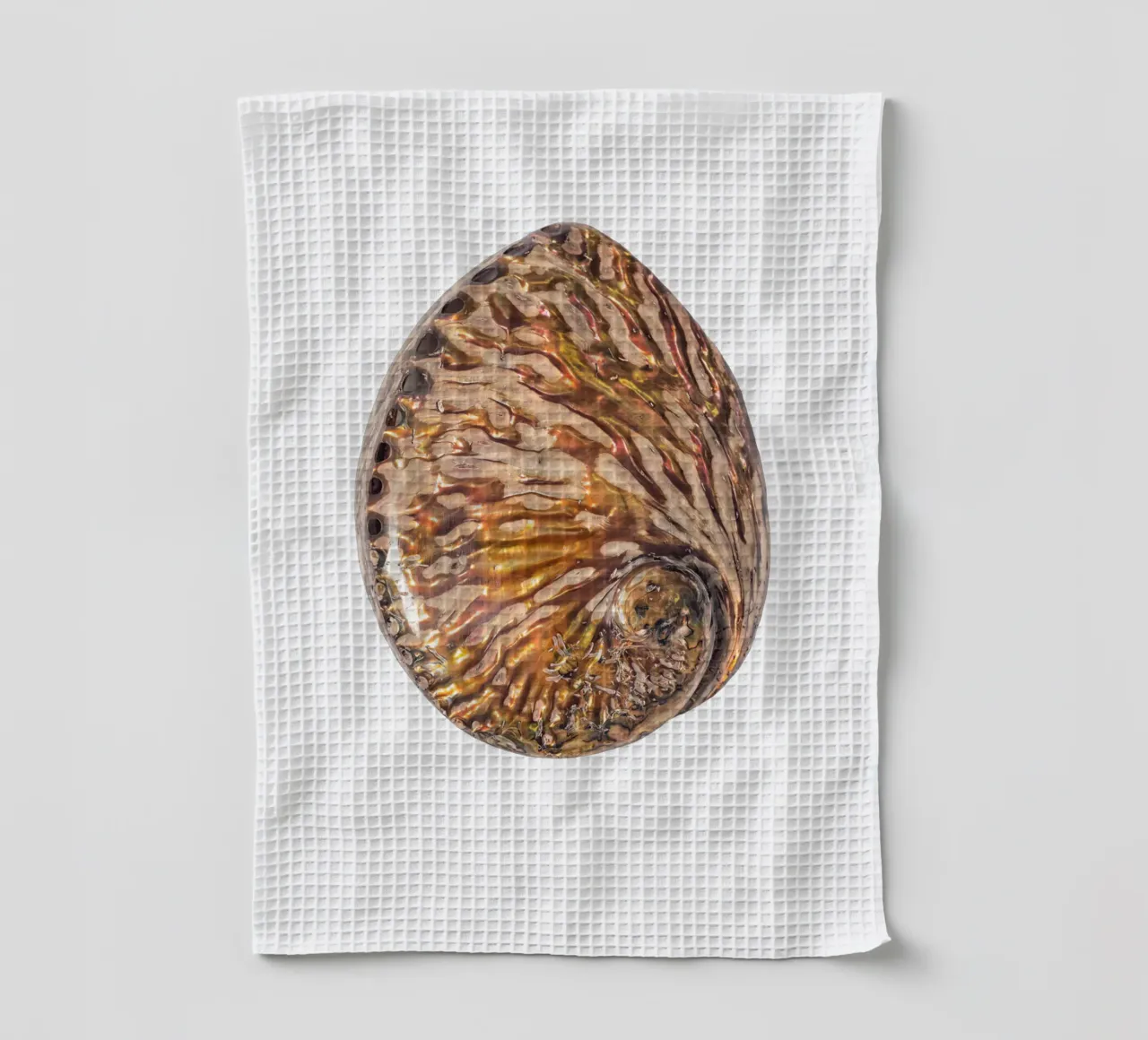 Conchiglia in madreperla canovaccio da cucina da Curious Collections by Marielle Leenders