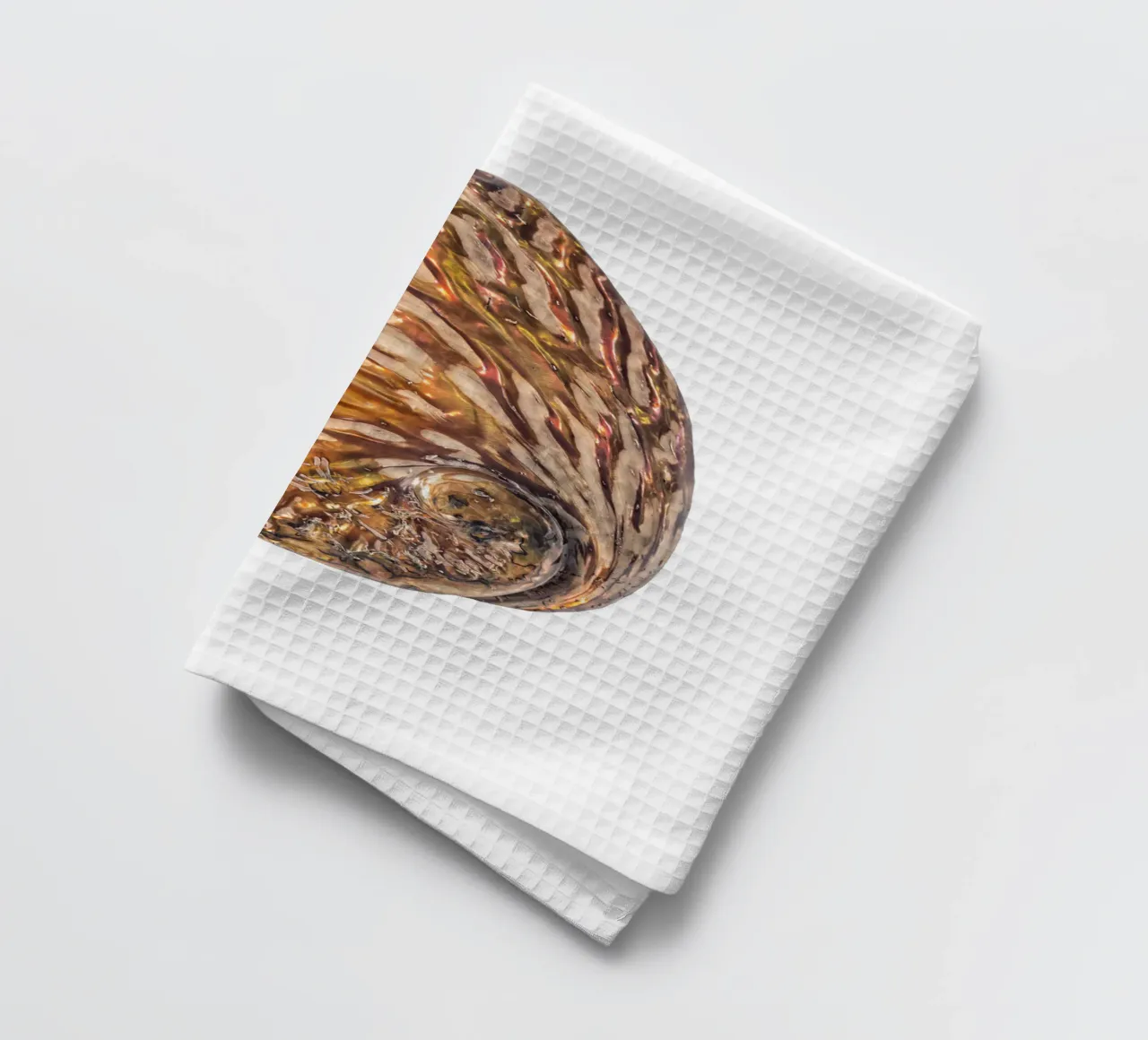 Conchiglia in madreperla canovaccio da cucina da Curious Collections by Marielle Leenders