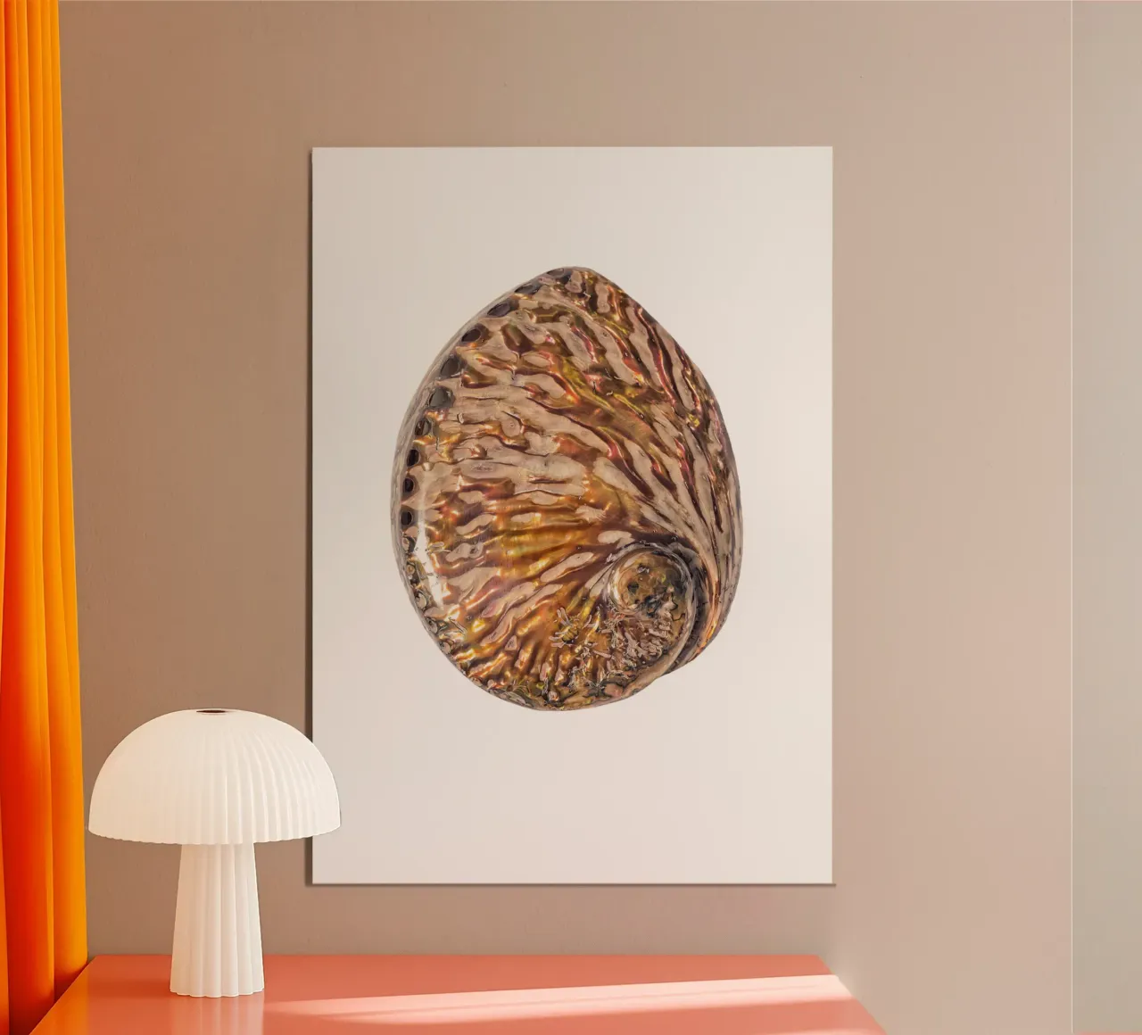Conchiglia in madreperla alluminio dibond da Curious Collections by Marielle Leenders