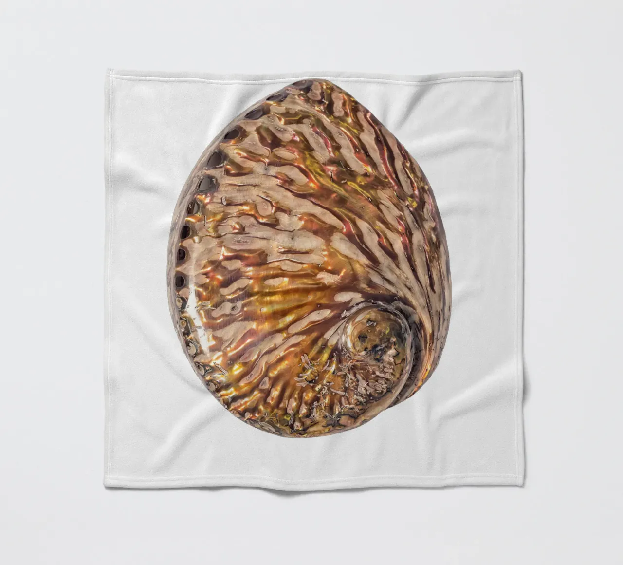 Perlmutt-Muschel Fleecedecke von Curious Collections by Marielle Leenders