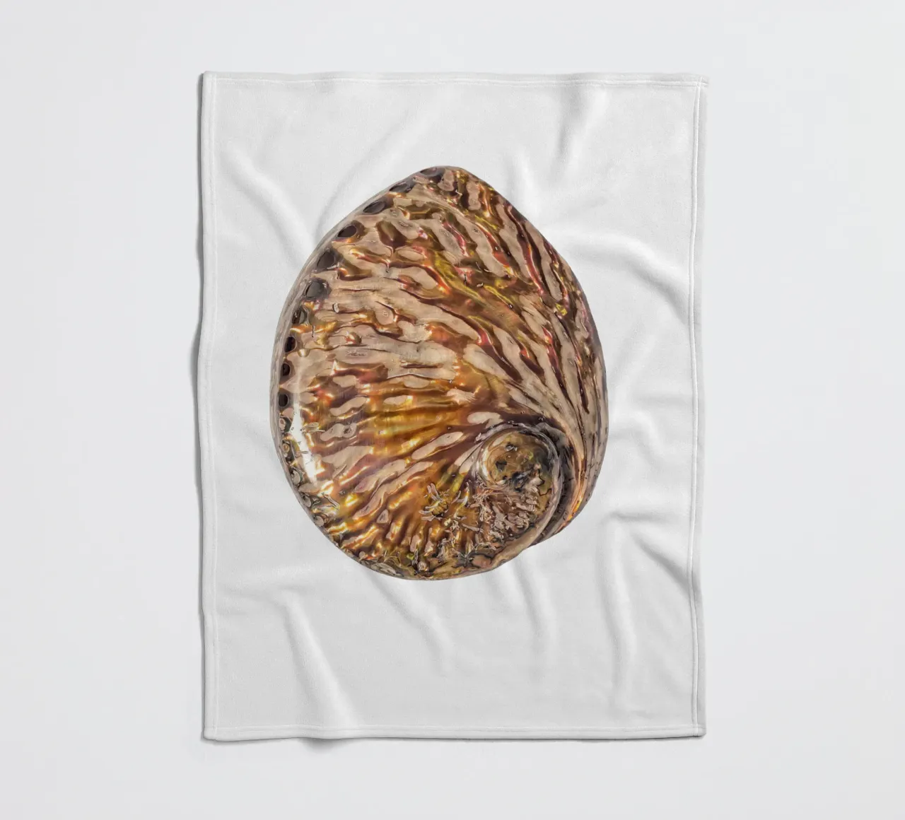 Perlmutt-Muschel Fleecedecke von Curious Collections by Marielle Leenders