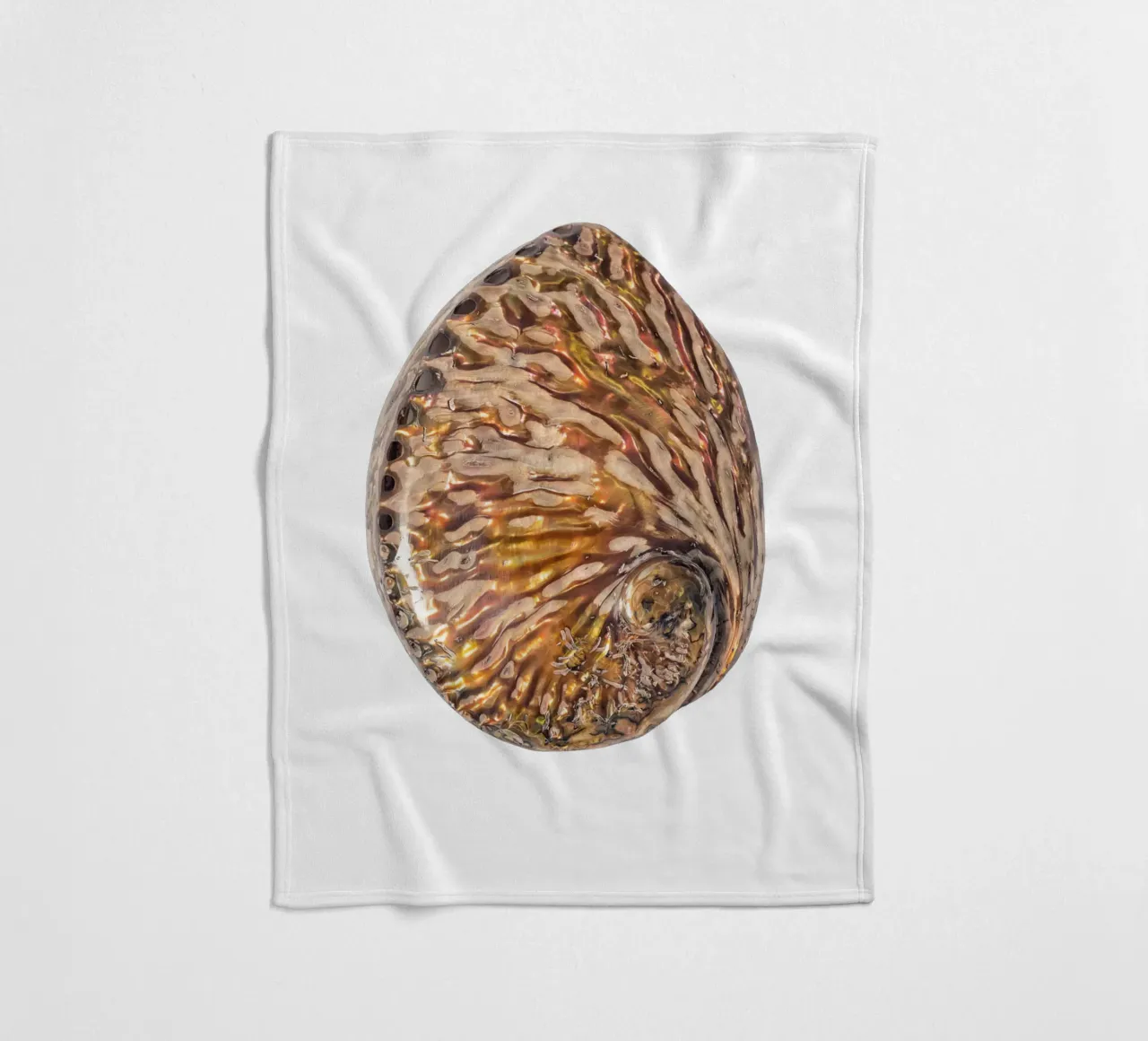 Perlmutt-Muschel Fleecedecke von Curious Collections by Marielle Leenders