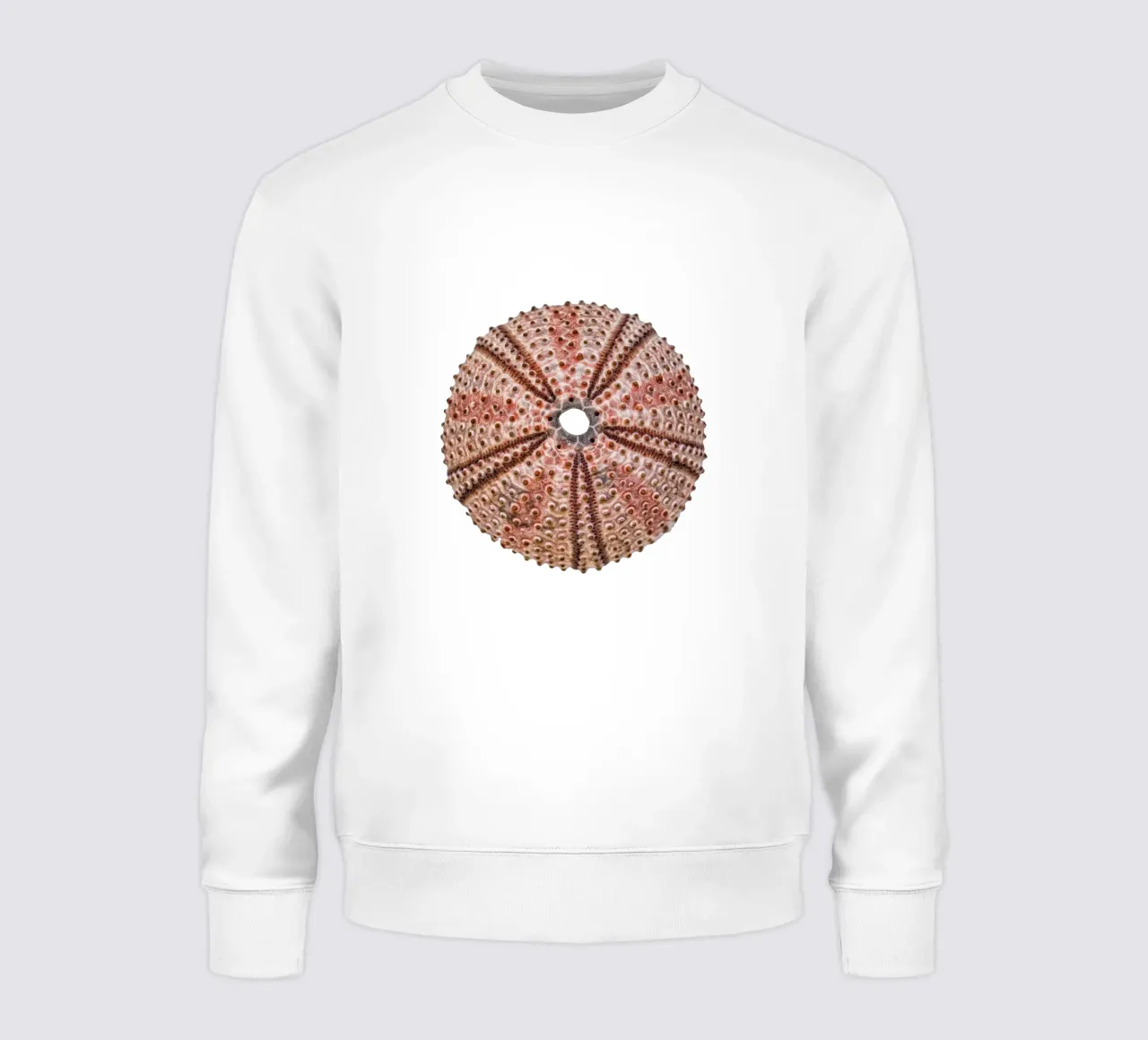 Riccio di mare felpa da Curious Collections by Marielle Leenders