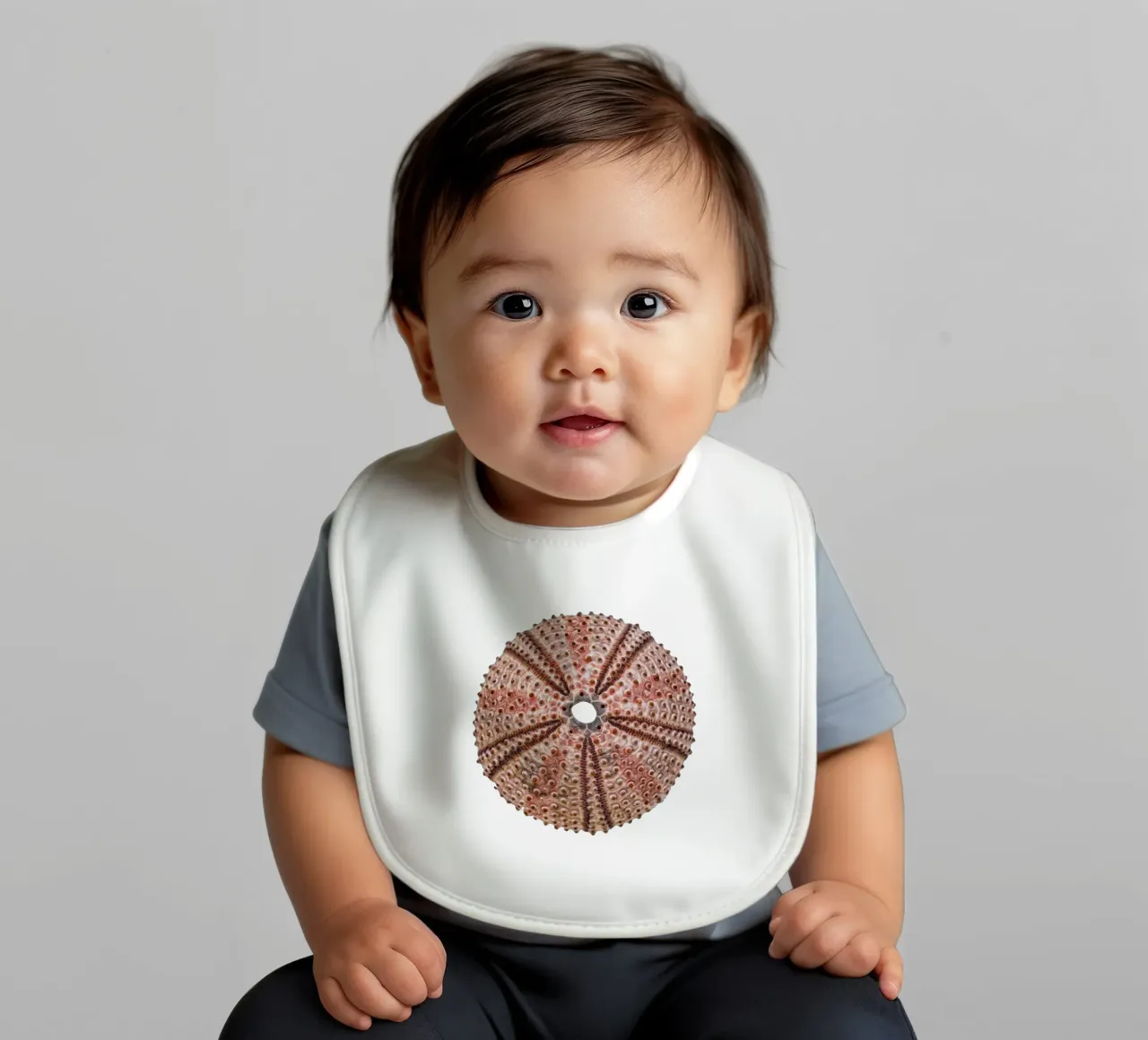 Riccio di mare bavaglino da Curious Collections by Marielle Leenders