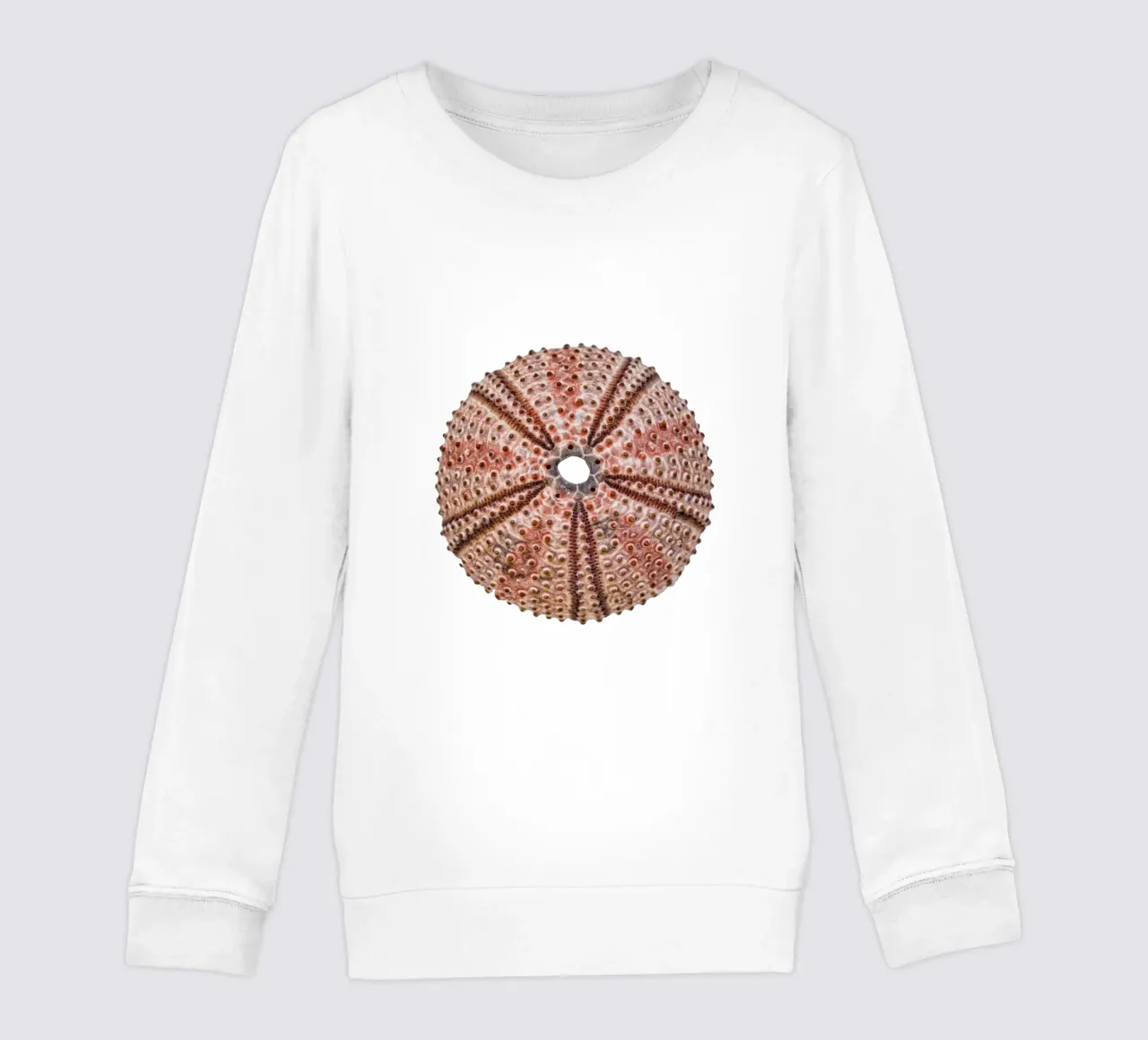 Riccio di mare felpa bambino da Curious Collections by Marielle Leenders