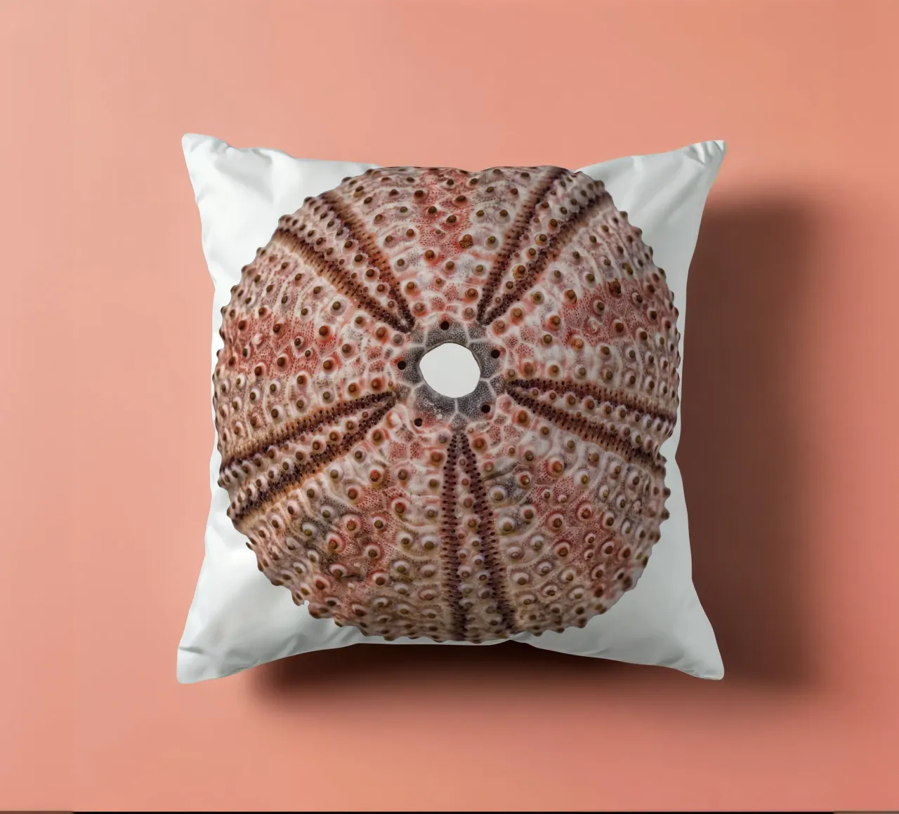 Riccio di mare cuscino da Curious Collections by Marielle Leenders