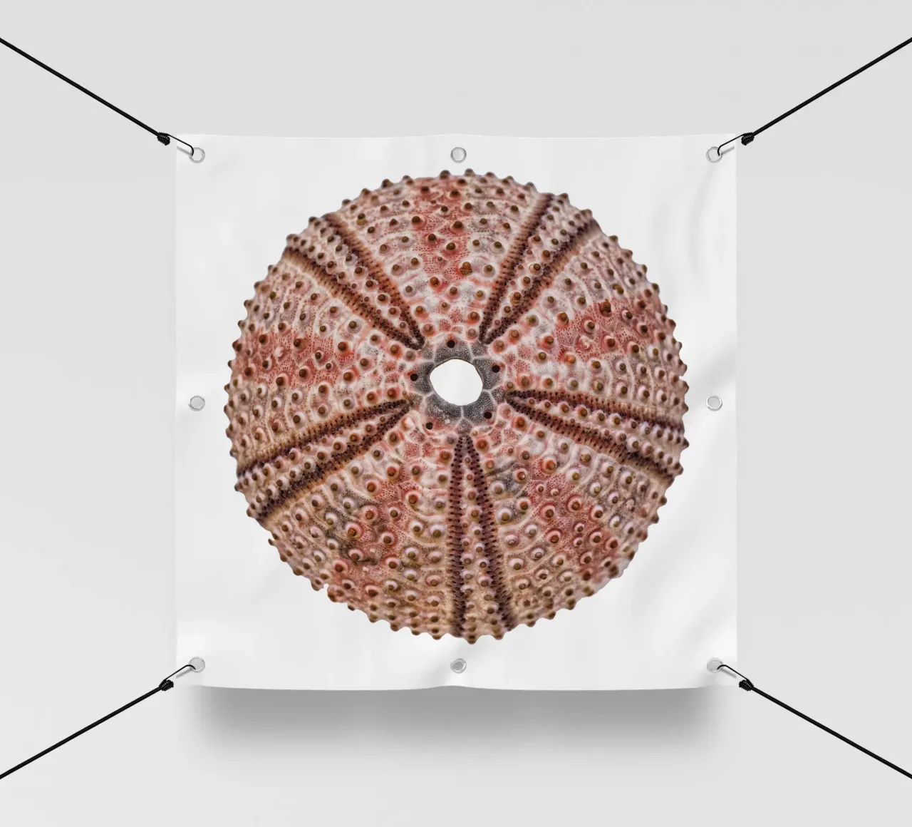 Riccio di mare telo in pvc da Curious Collections by Marielle Leenders