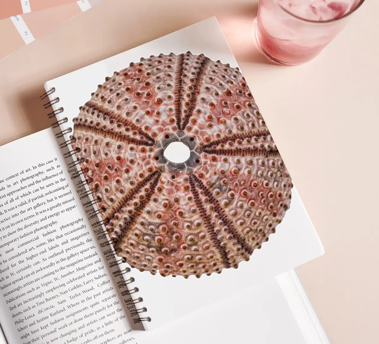 Sea urchin spiral notebook by Curious Collections by Marielle Leenders