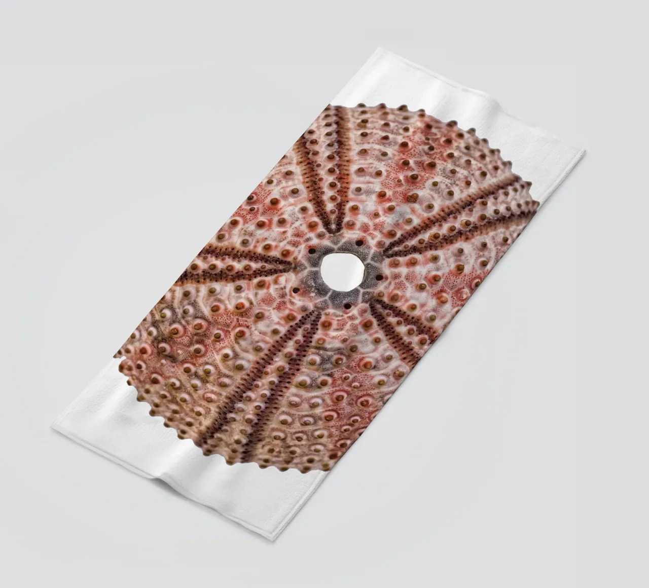 Riccio di mare telo mare da Curious Collections by Marielle Leenders