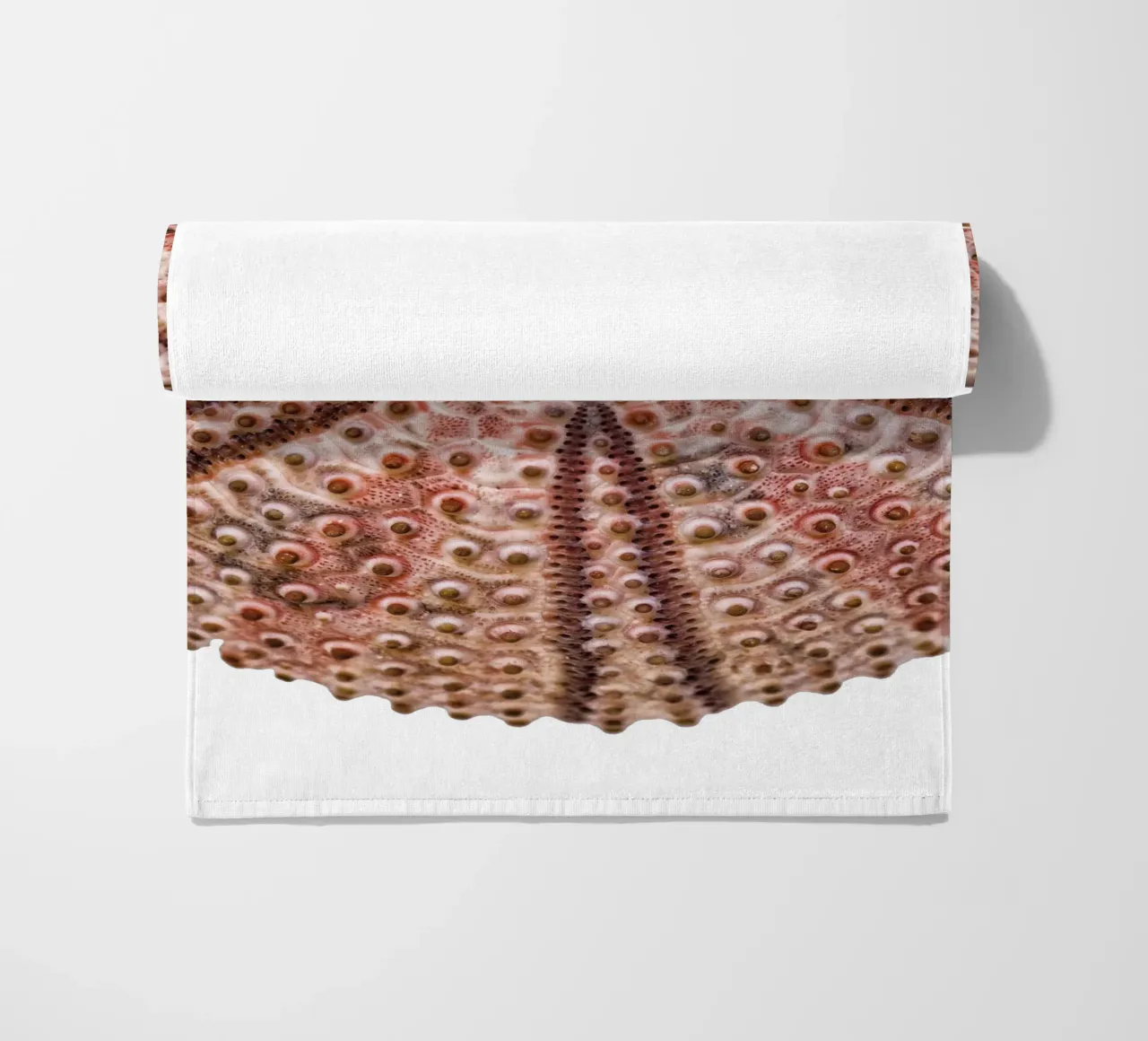 Riccio di mare telo mare da Curious Collections by Marielle Leenders