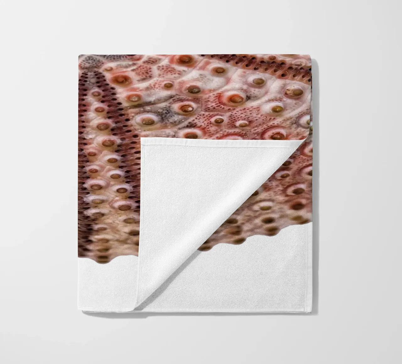 Riccio di mare telo mare da Curious Collections by Marielle Leenders