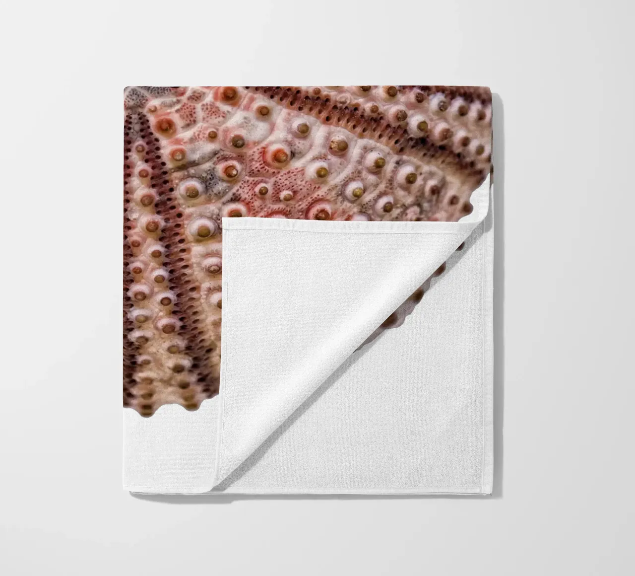Riccio di mare telo mare da Curious Collections by Marielle Leenders