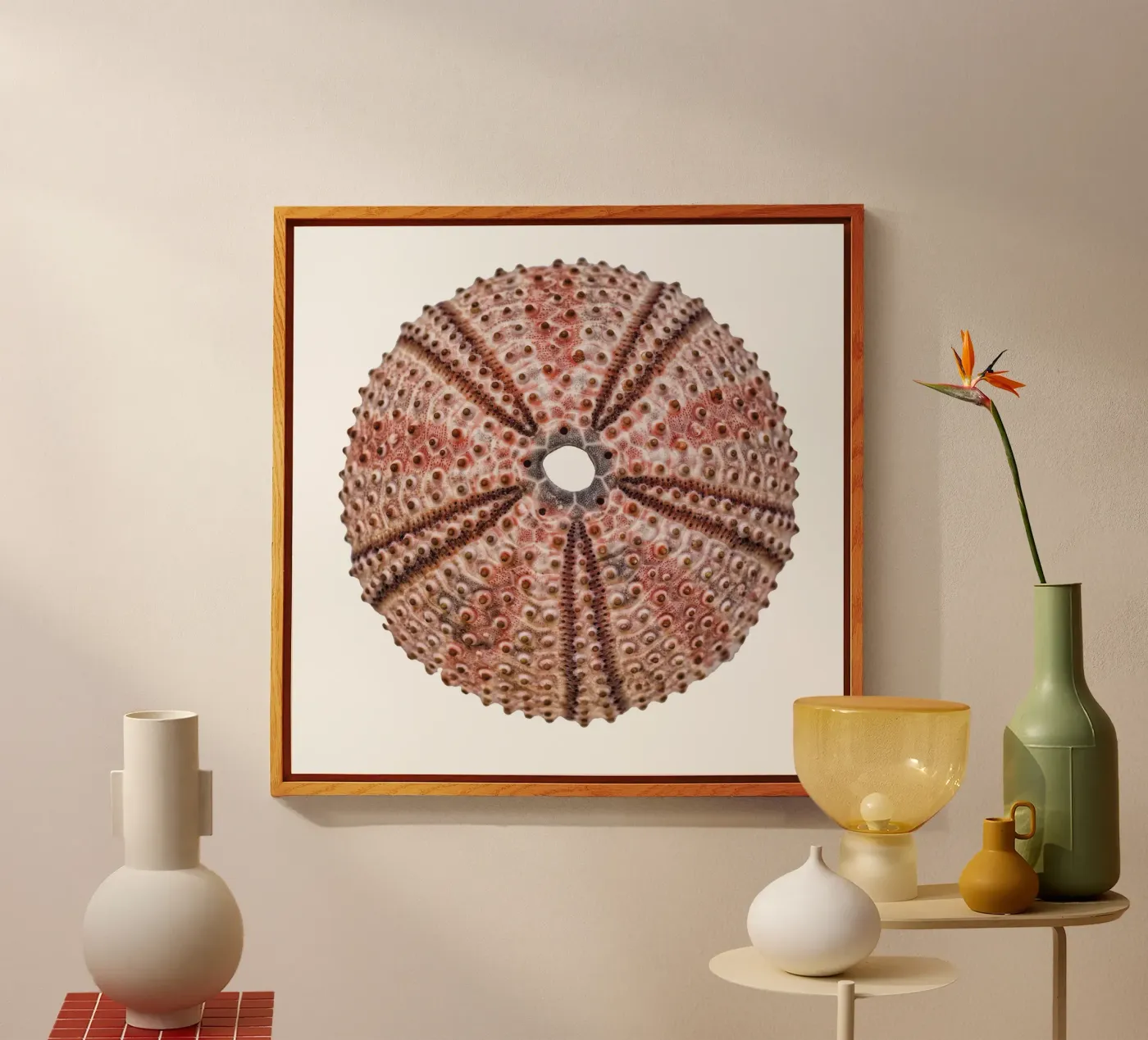 Sea urchin plexiglas de Curious Collections by Marielle Leenders