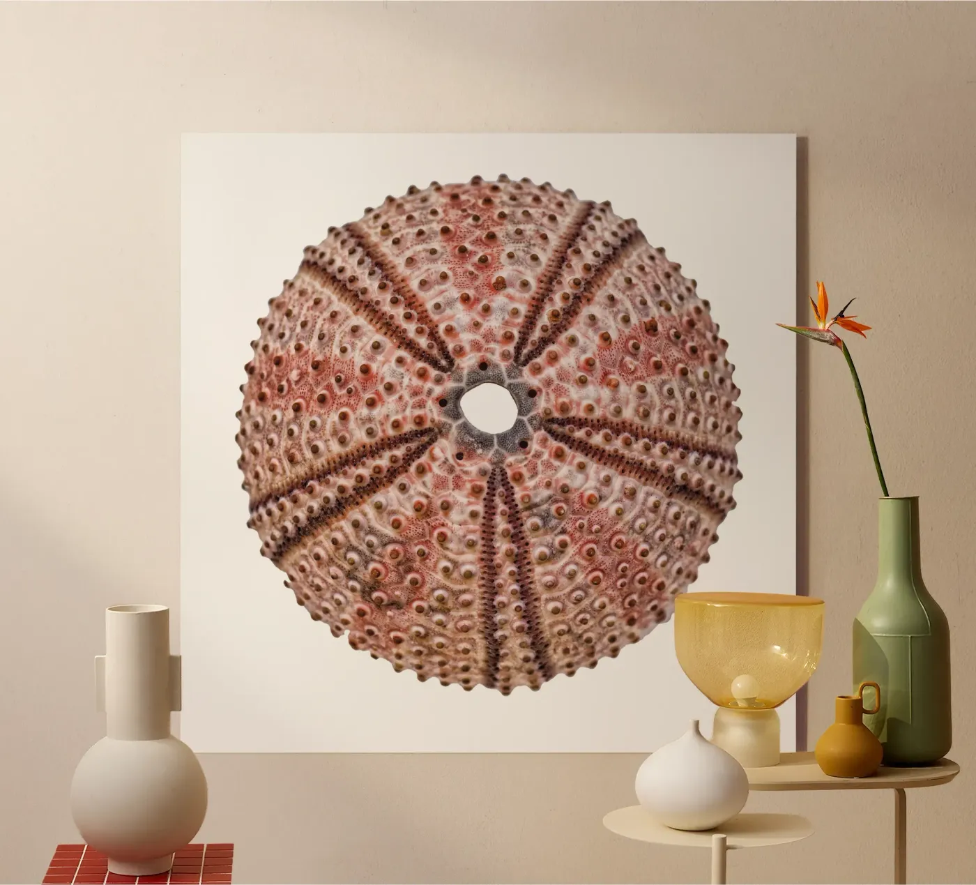 Sea urchin plexiglas de Curious Collections by Marielle Leenders