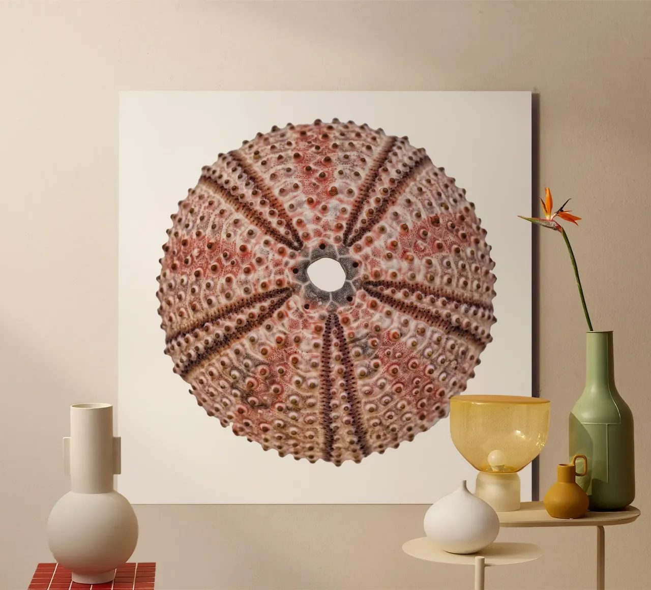Riccio di mare alluminio dibond da Curious Collections by Marielle Leenders
