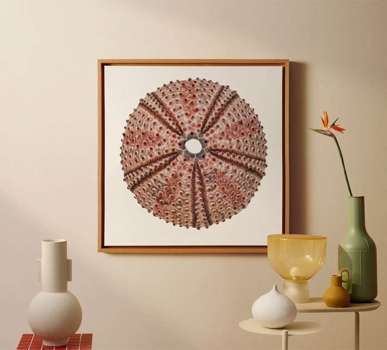Riccio di mare tela con Cornice a cassetta da Curious Collections by Marielle Leenders