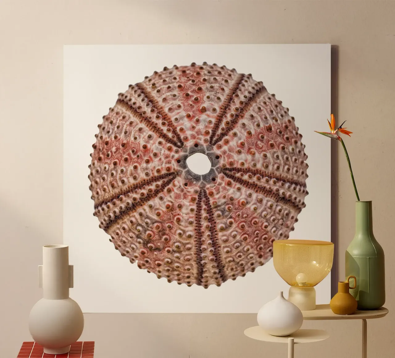Riccio di mare tela con Cornice a cassetta da Curious Collections by Marielle Leenders