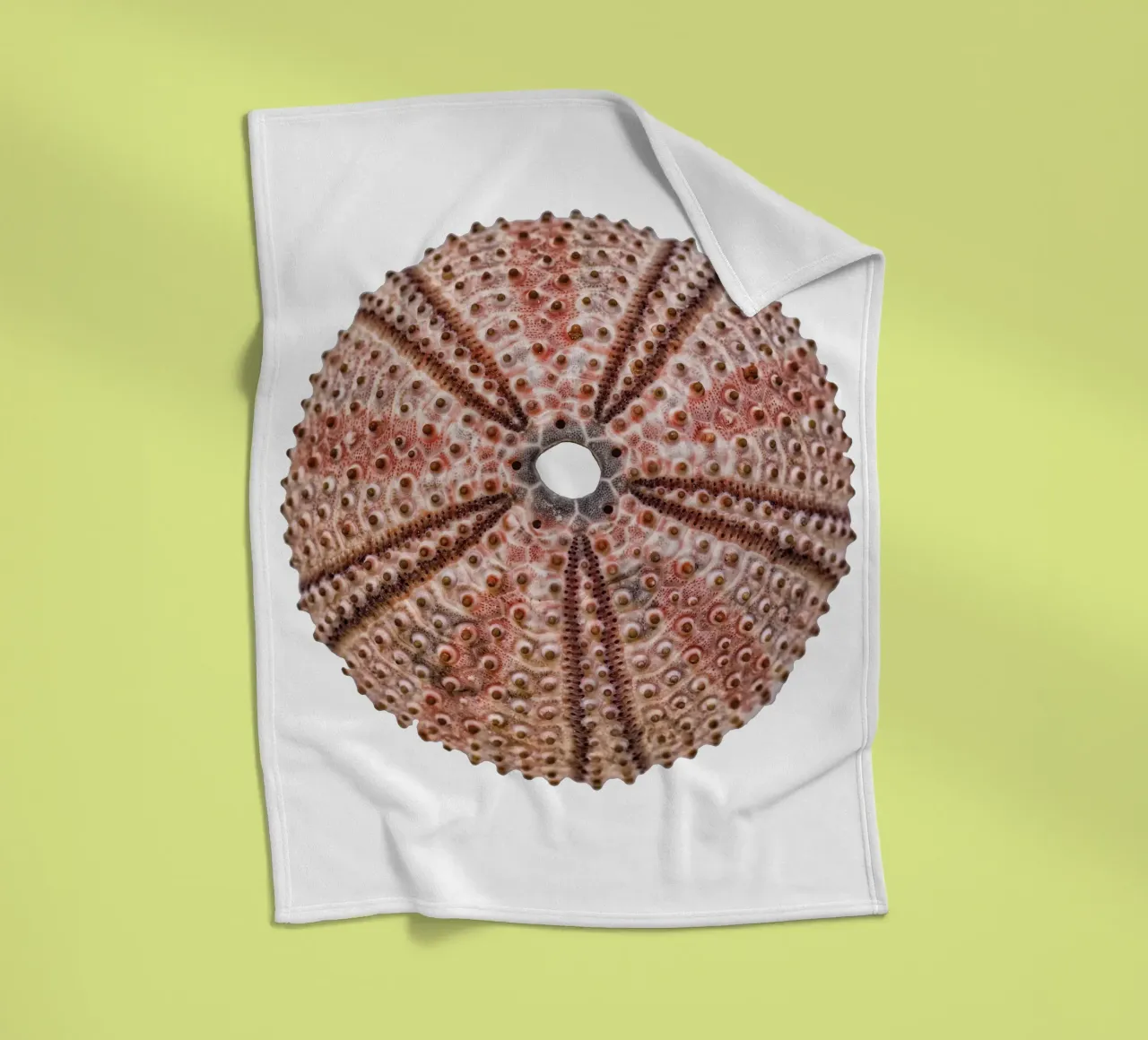 Sea urchin fleece blanket by Curious Collections by Marielle Leenders