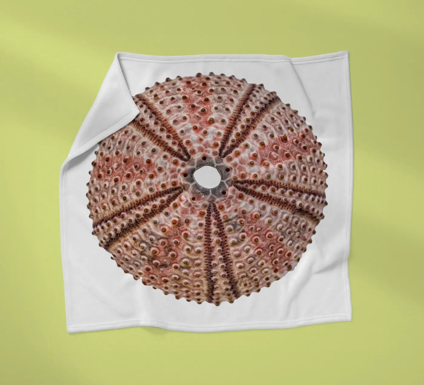 Sea urchin Fleecedecke von Curious Collections by Marielle Leenders