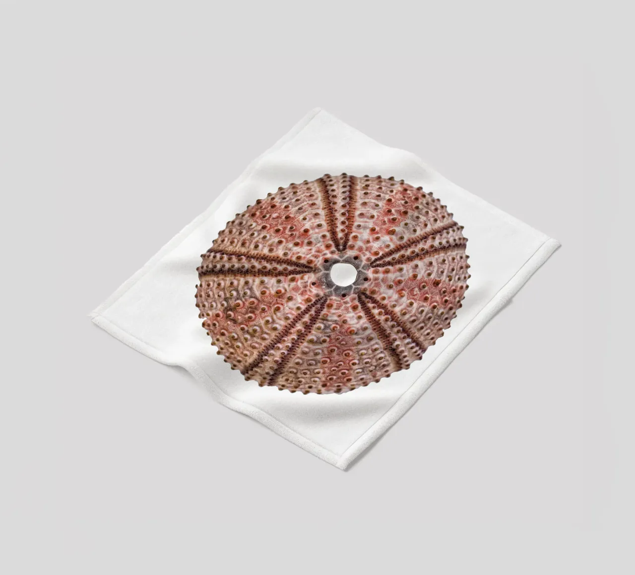 Sea urchin fleece blanket by Curious Collections by Marielle Leenders