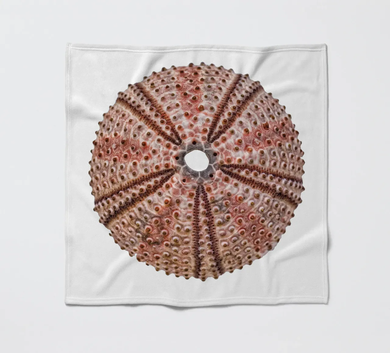 Seeigel Fleecedecke von Curious Collections by Marielle Leenders
