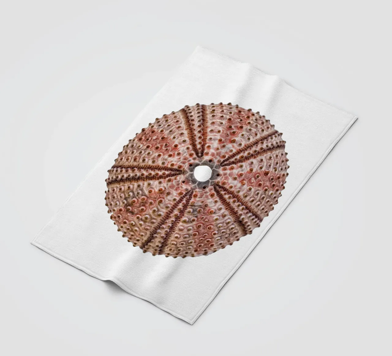 Sea urchin fleece blanket by Curious Collections by Marielle Leenders