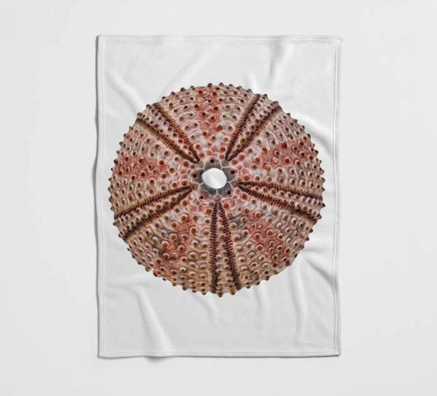Sea urchin Fleecedecke von Curious Collections by Marielle Leenders