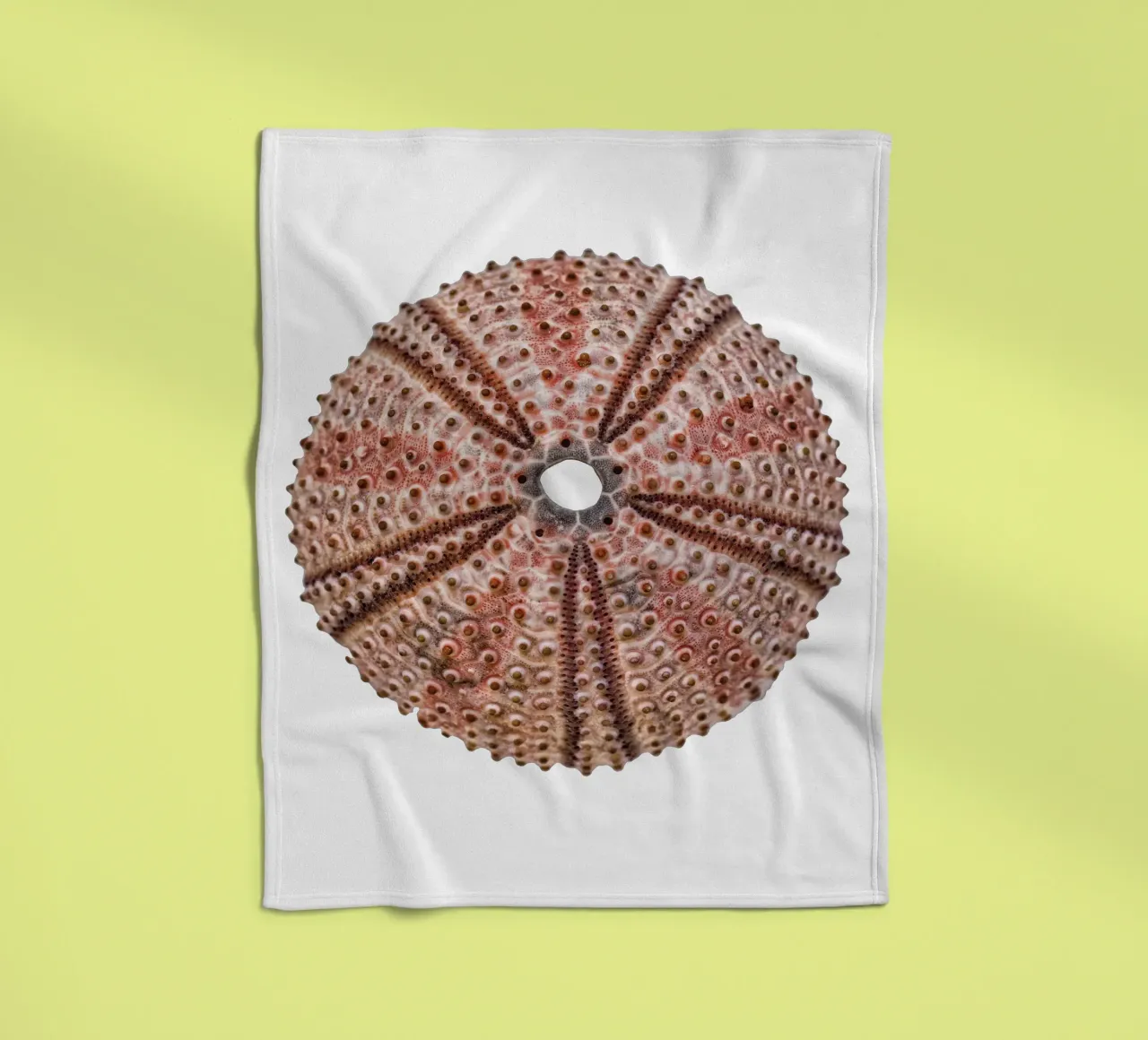Sea urchin fleece blanket by Curious Collections by Marielle Leenders