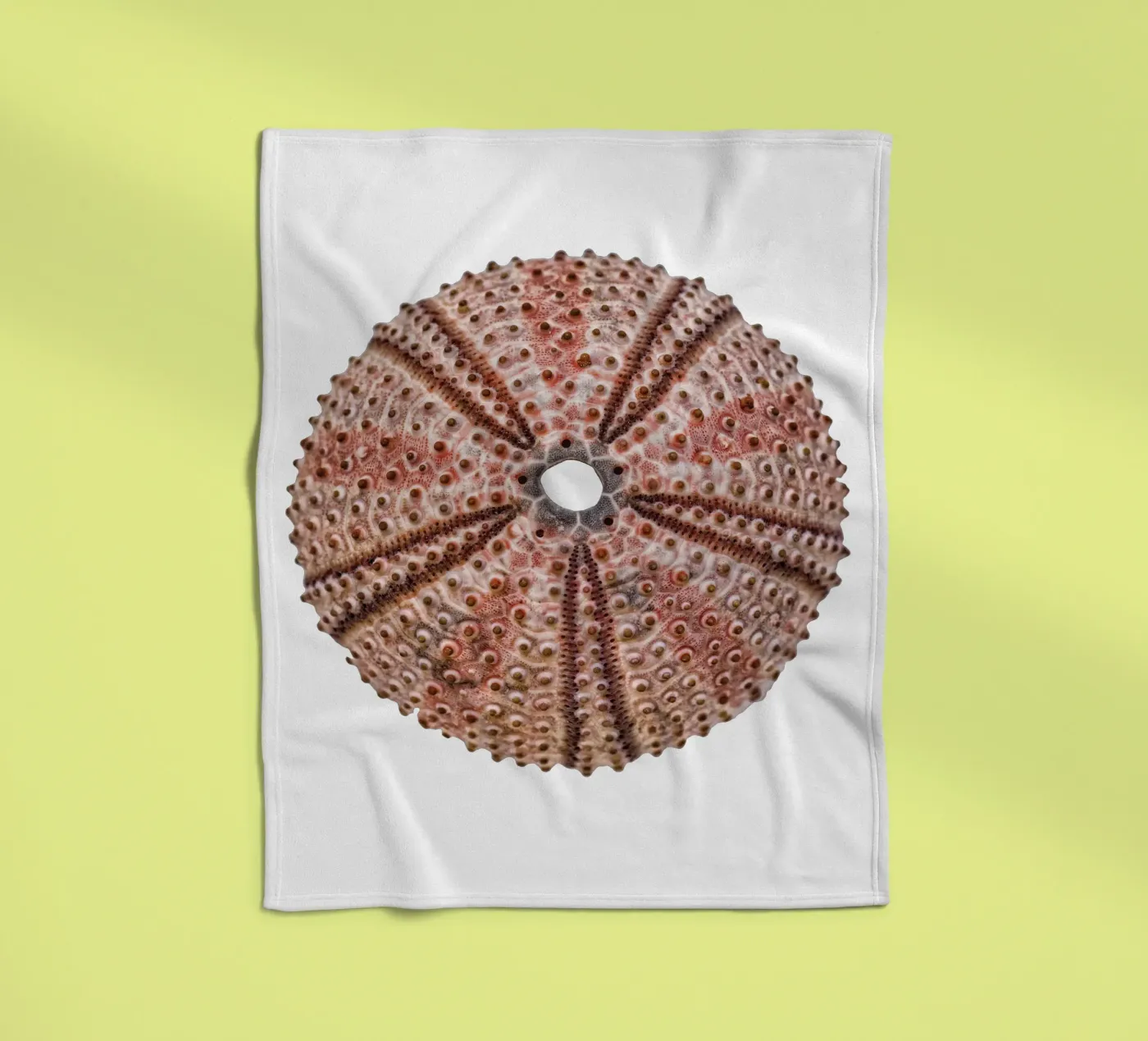 Sea urchin Fleecedecke von Curious Collections by Marielle Leenders