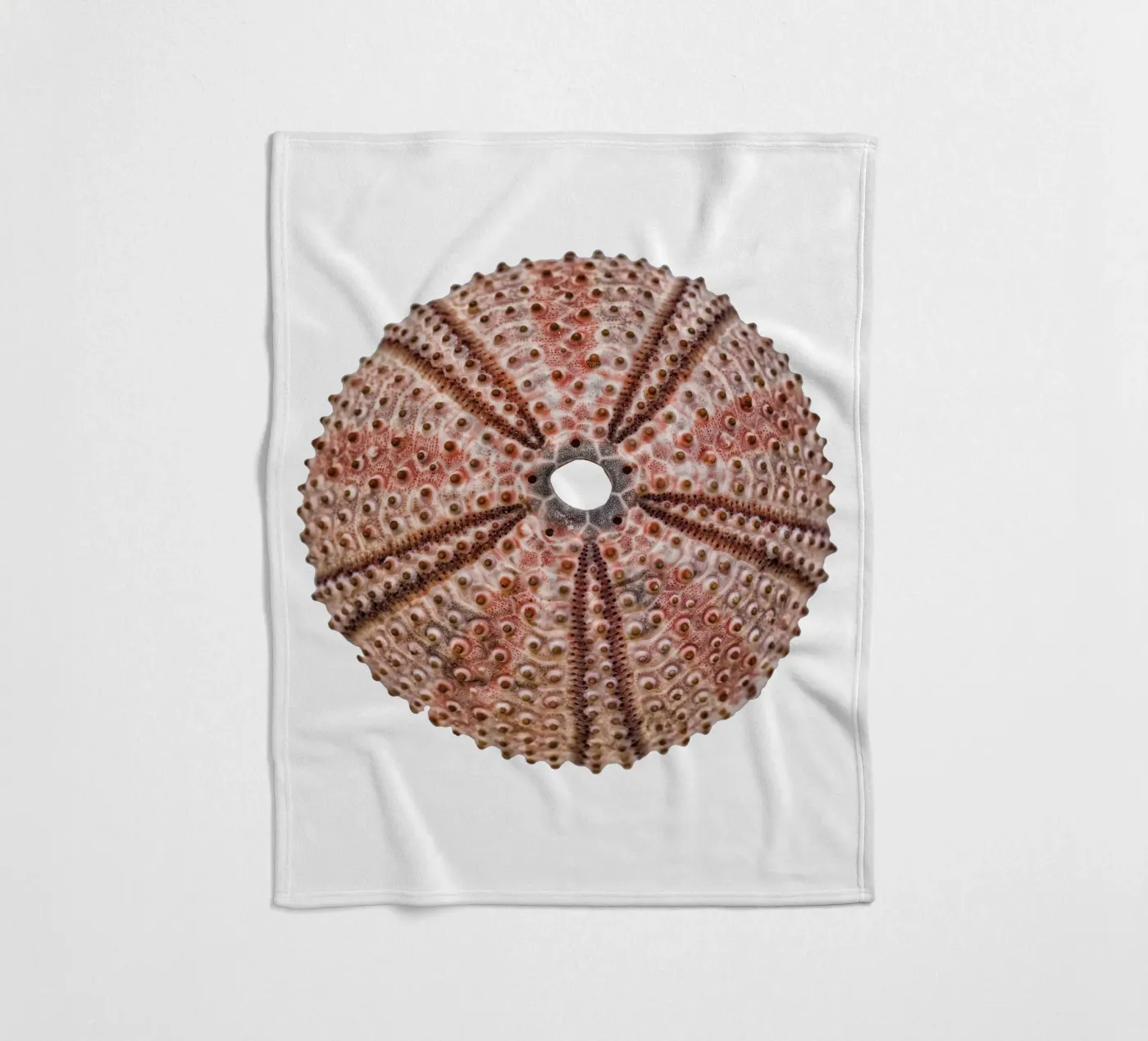 Sea urchin Fleecedecke von Curious Collections by Marielle Leenders