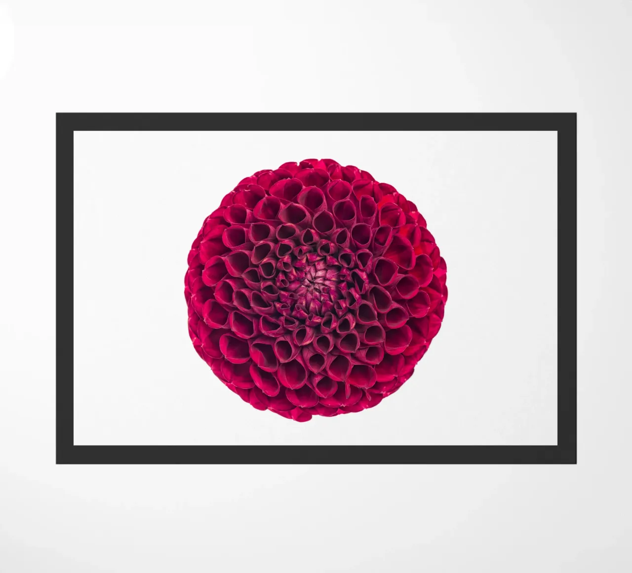 Bellezza audace: Dalia rossa zerbino da Curious Collections by Marielle Leenders