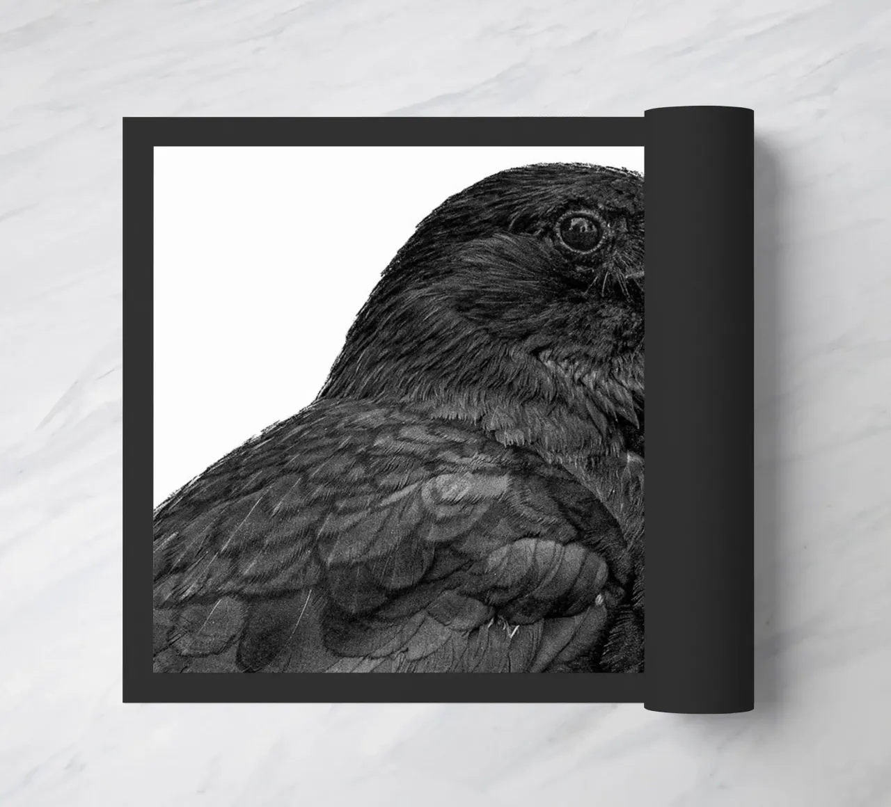 Corvo zerbino da Victoria Frost