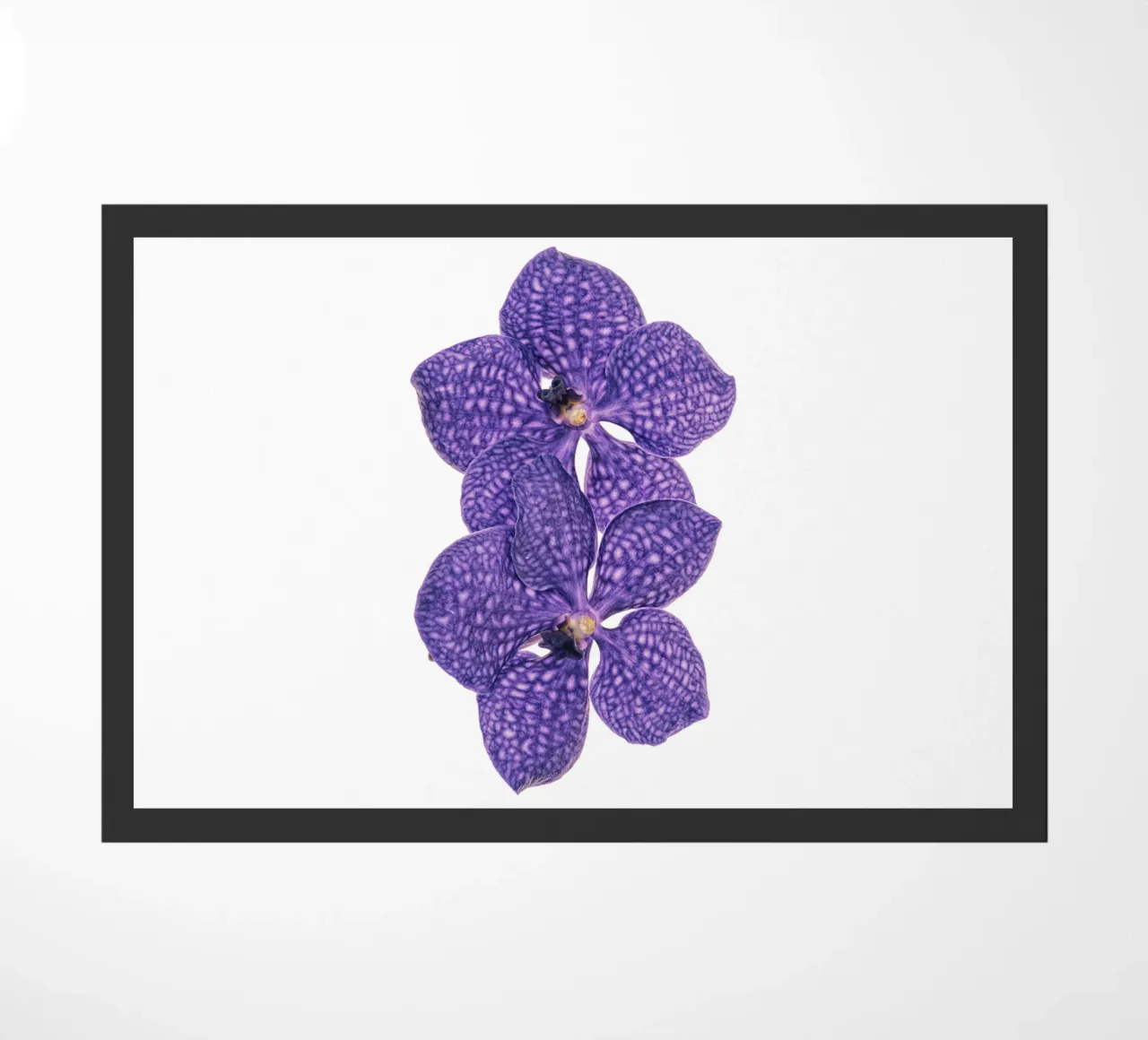 Il fascino delle orchidee viola zerbino da Curious Collections by Marielle Leenders
