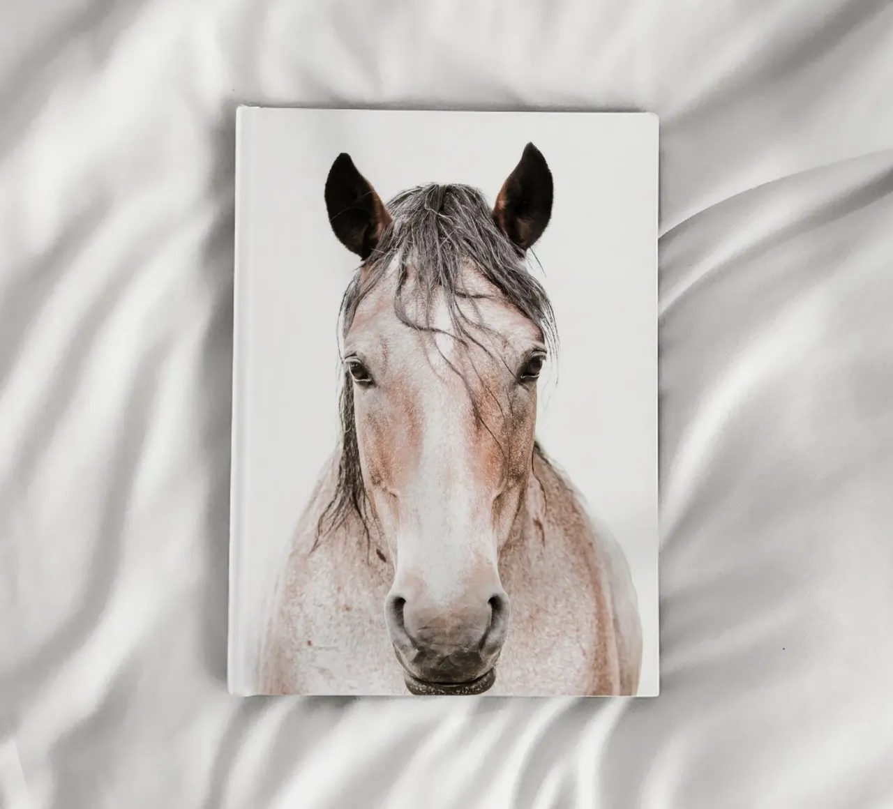 Cheval alezan Dun I carnet de notes de Victoria Frost