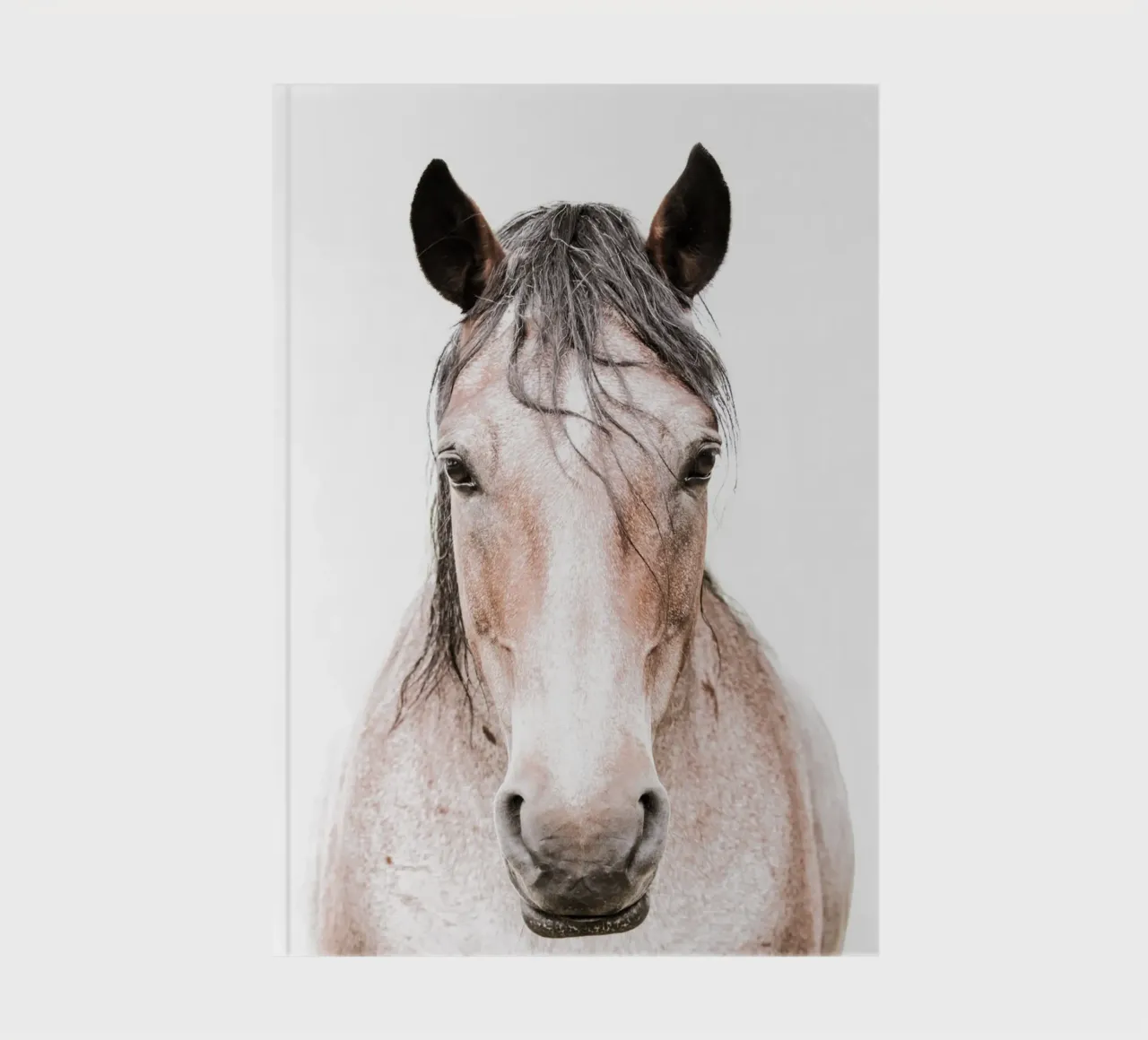 Cheval alezan Dun I carnet de notes de Victoria Frost