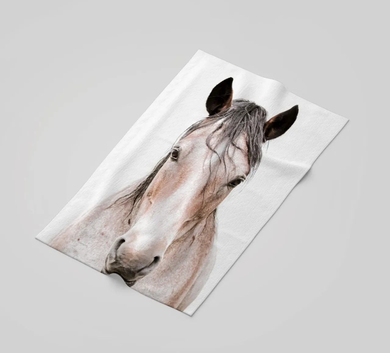 Cavallo di castagno Dun I telo mare da Victoria Frost