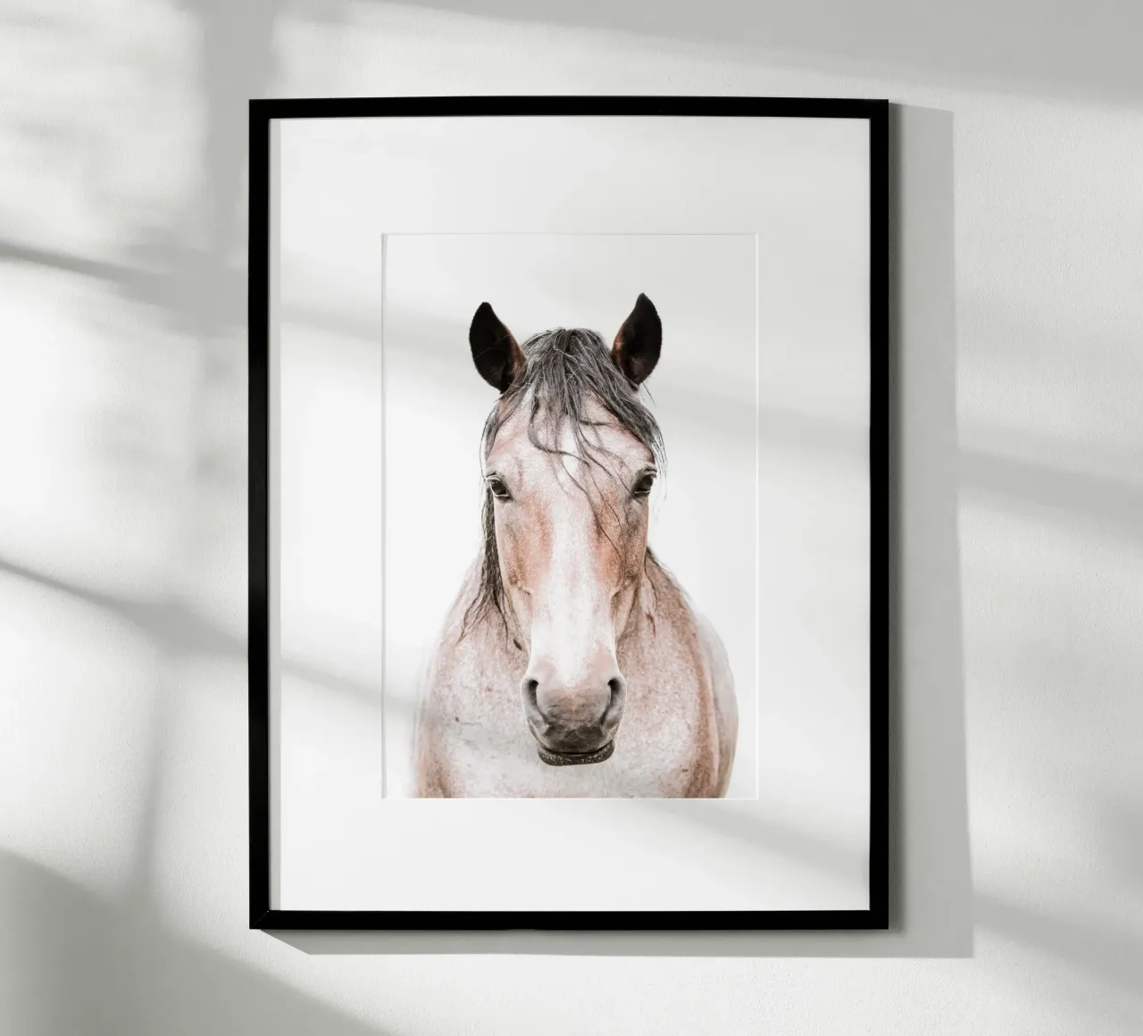 Cavallo di castagno Dun I carta hahnemühle da Victoria Frost