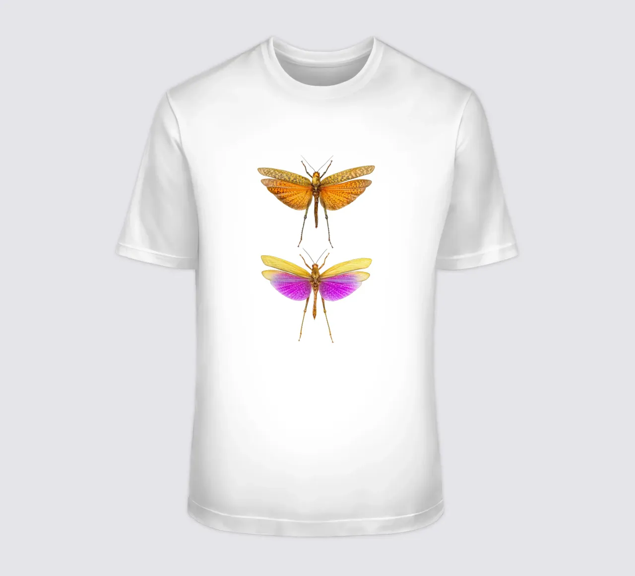 Armonia colorata: Grilli t-shirt da Curious Collections by Marielle Leenders