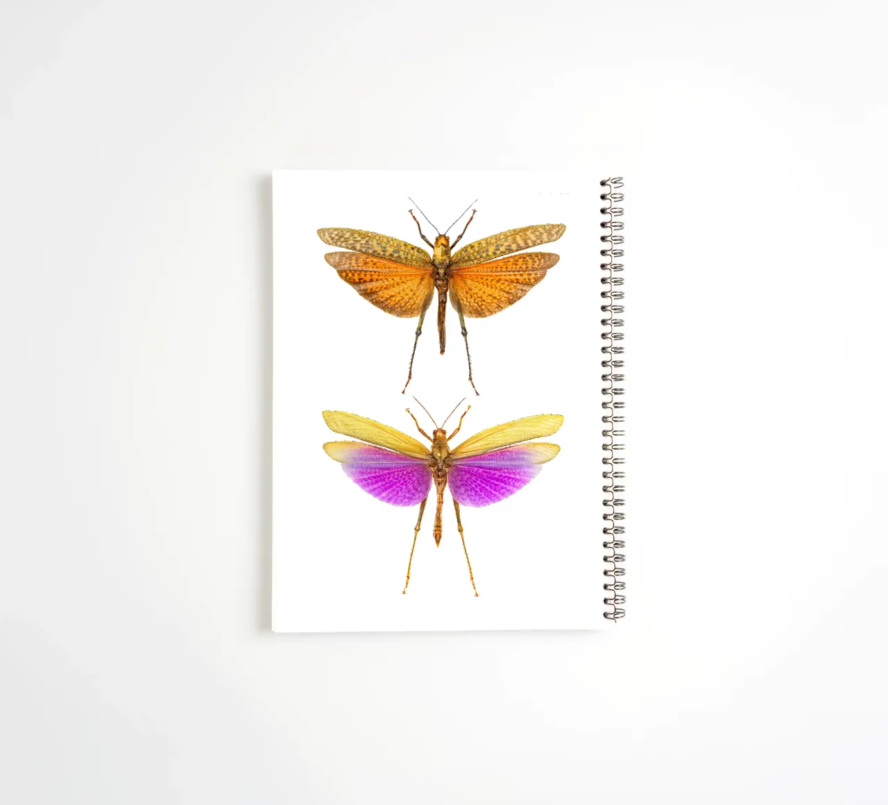 Colorful Harmony: Crickets spiral notebook by Curious Collections by Marielle Leenders