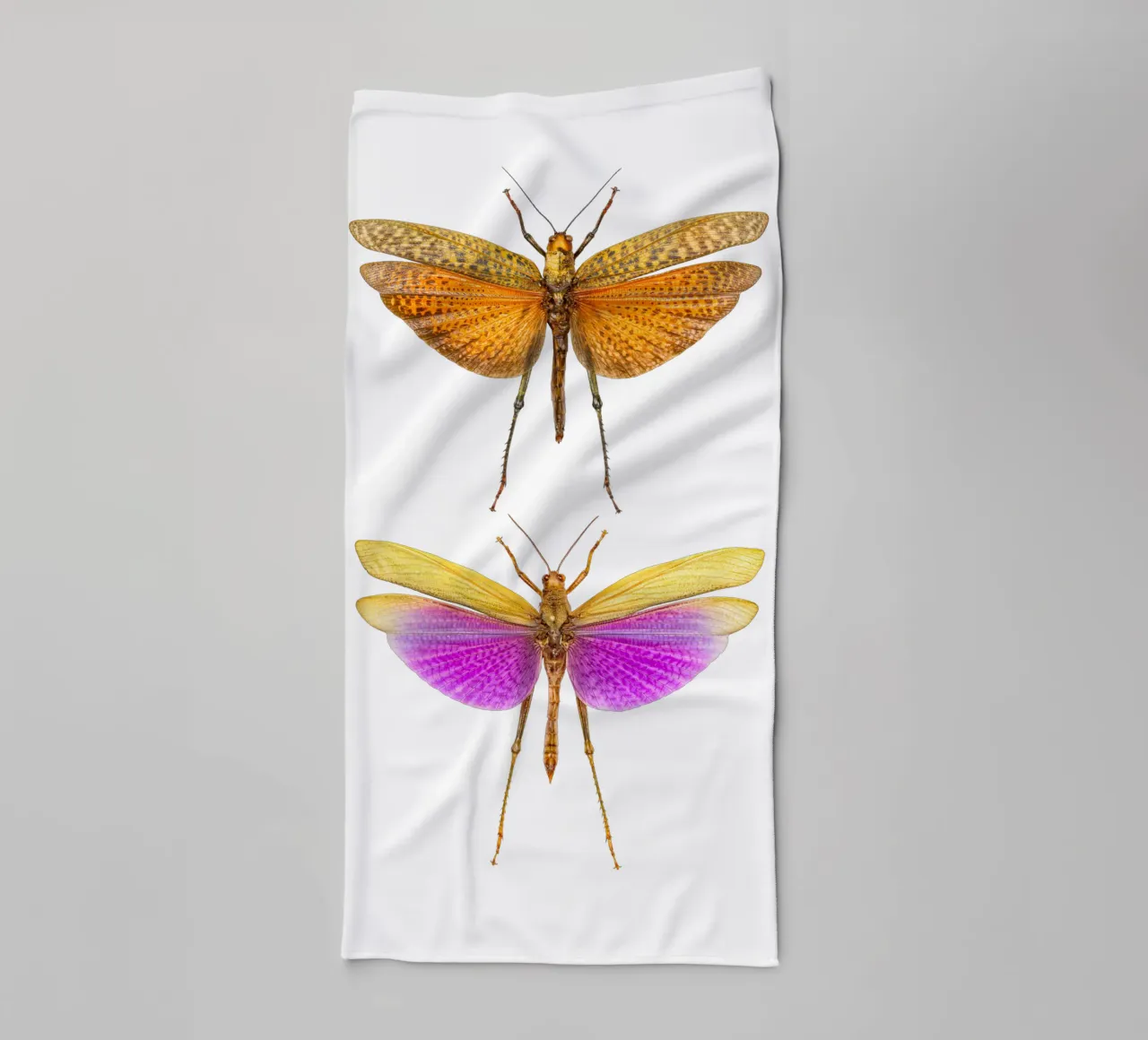 Armonia colorata: Grilli asciugamano da bagno da Curious Collections by Marielle Leenders